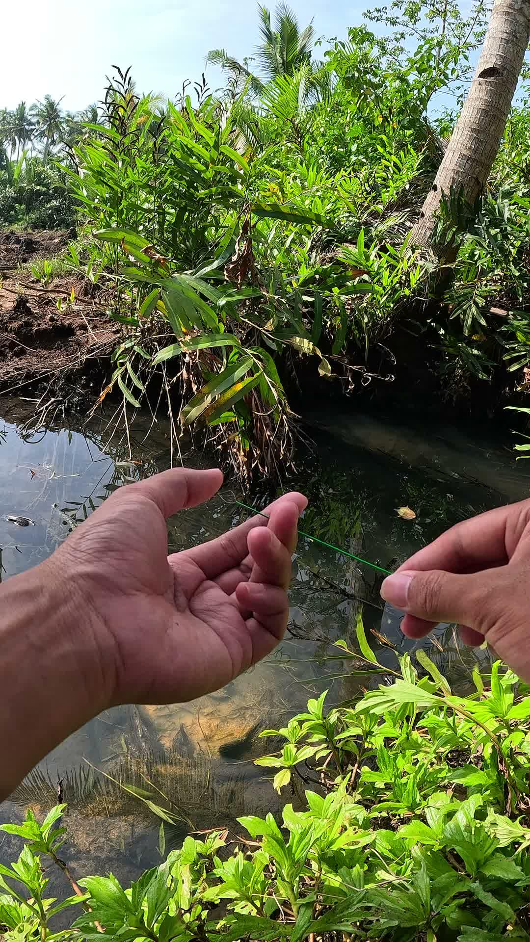 Didn't expect there to be shrimp here #fishing #shrimp #fish #sea #traditional #usareels #UnitedStates #reelsviral #skils #fyp #trending