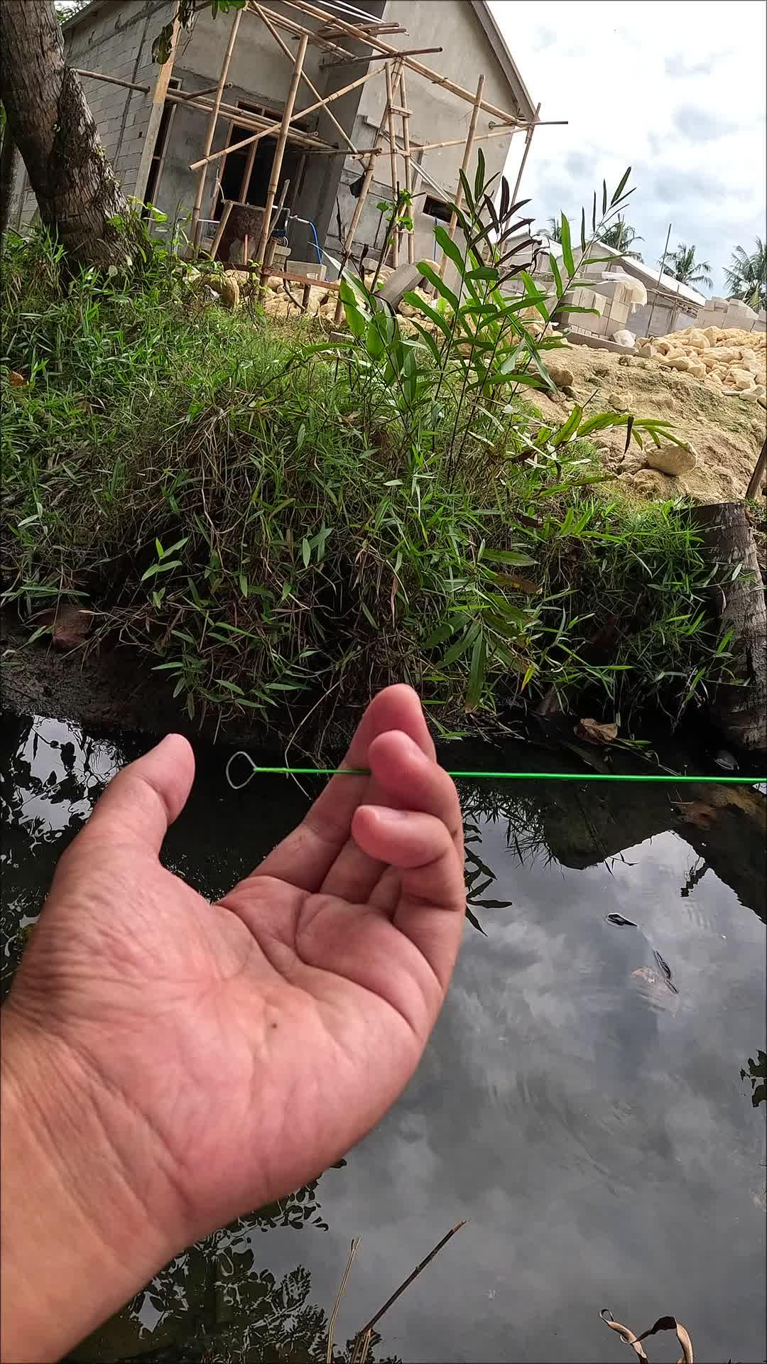 menangkap udang yg bertelur #fishing #shrimp #traditional #usa #usareels #UnitedStates #unitedkingdom #denmark #canada