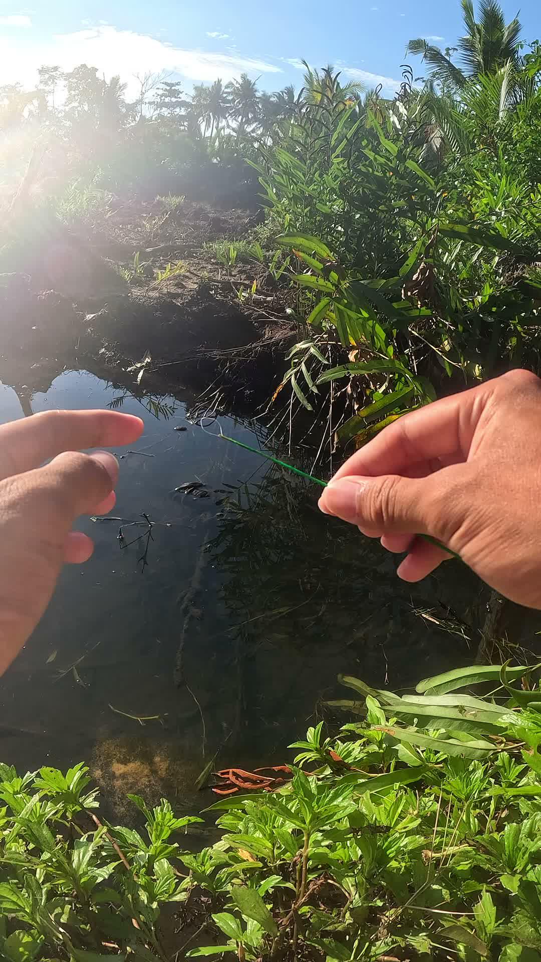 simple shrimp fishing gear #fishing #traditional #usa #usareels #UnitedStates #unitedkingdom #denmark #canada