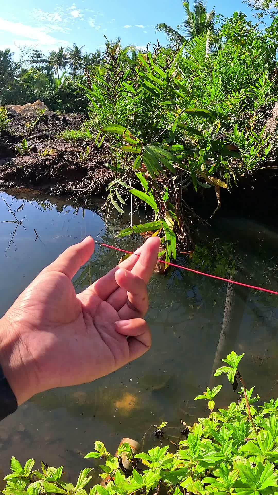 traditional shrimp fishing methods #fishing #traditional #usa #usareels #UnitedStates #unitedkingdom #denmark #canada
