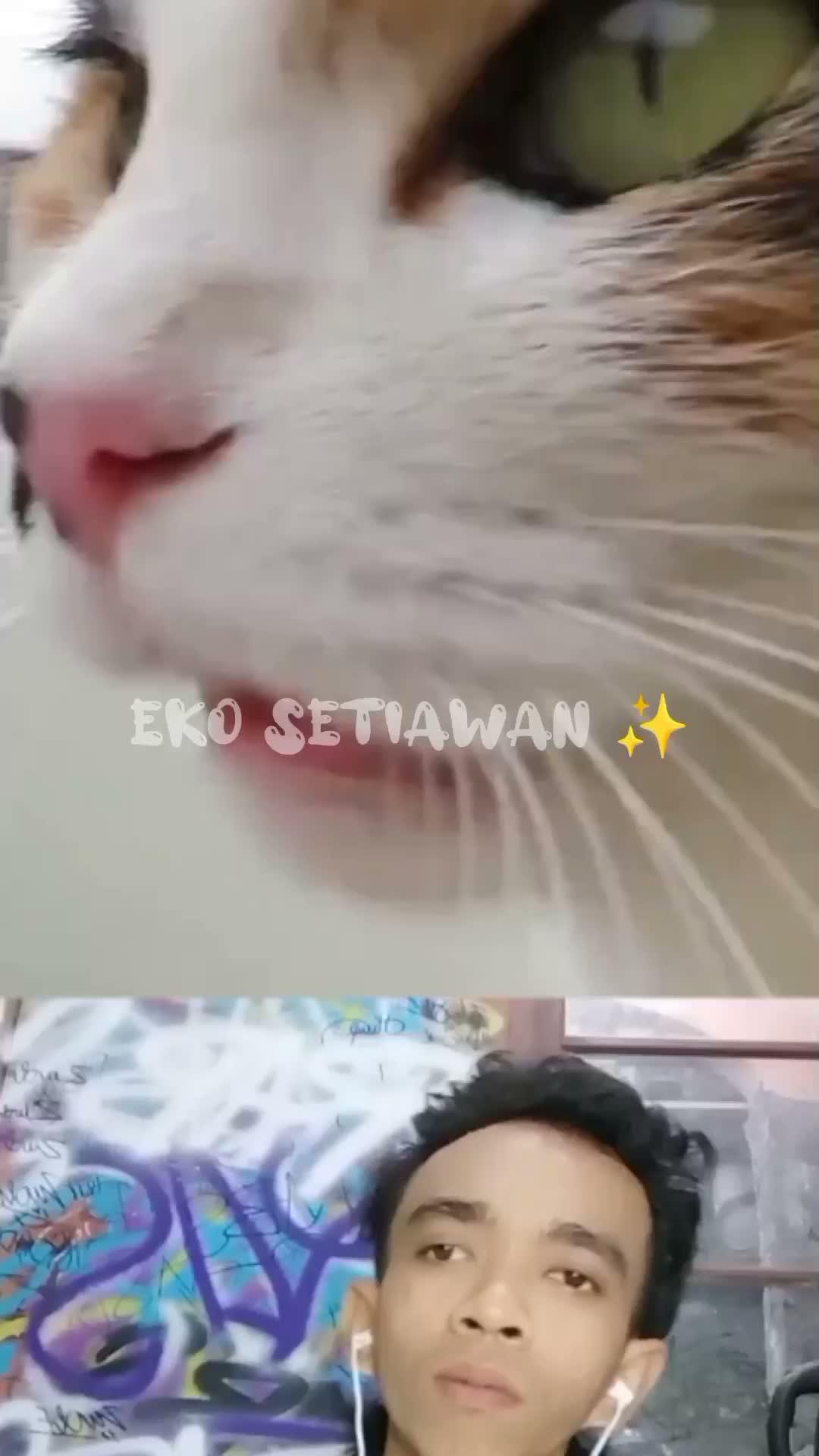 kucing tompel sedang menunggu ikan yang terjebak di es yang membeku 😱🤣😍😁