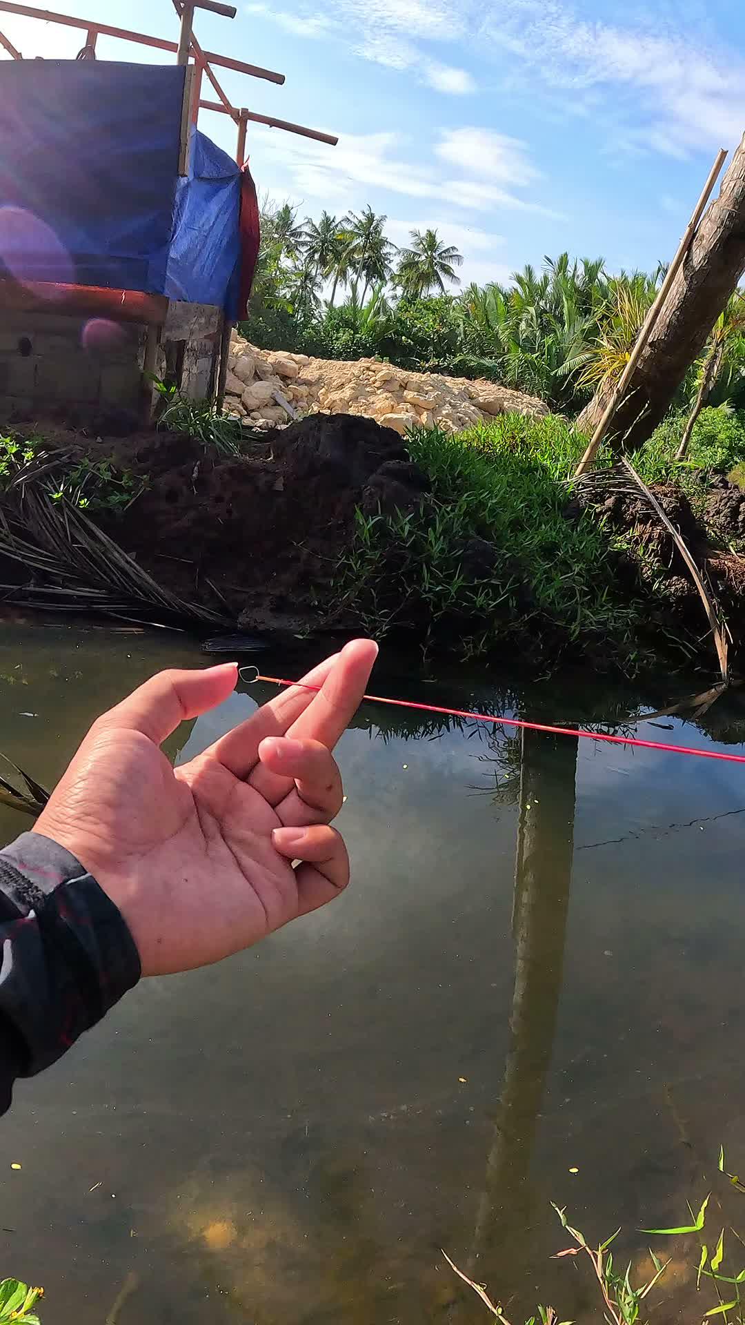 nostalgia mancing udang jaman dulu #udang #nelayan #laut #jaring #ikan #fbpro #reels #reelsviral #duniaikan #skills #fyp #trending