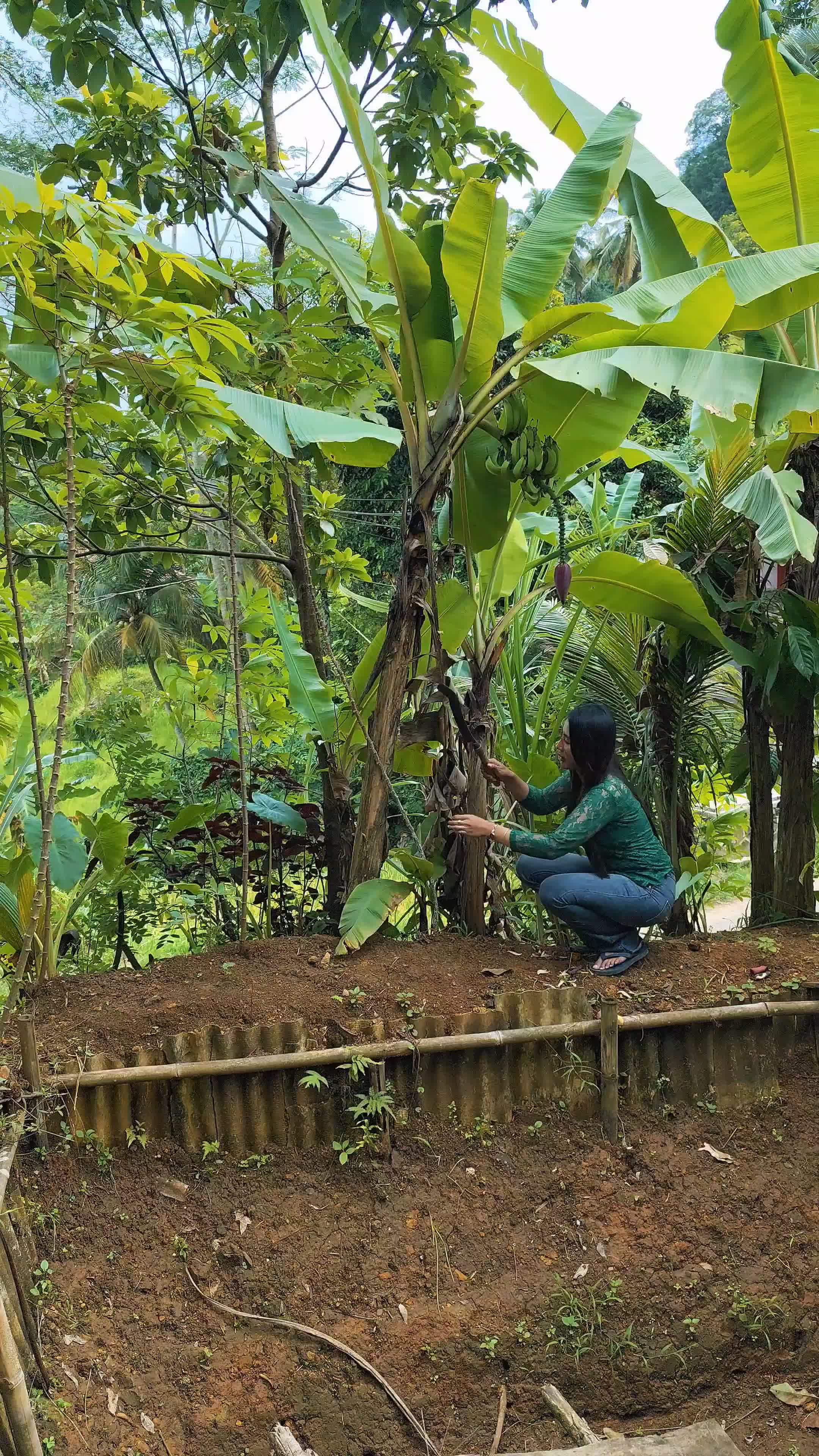 you kidding me #RCTIPlus 