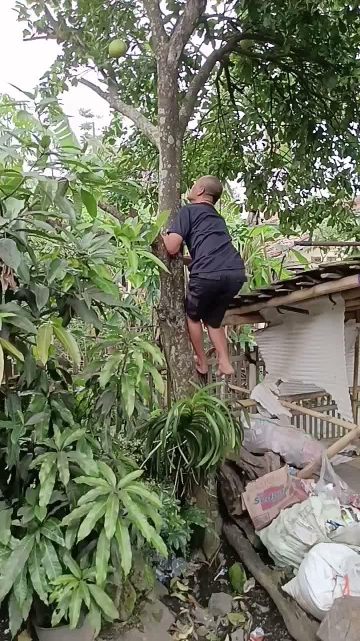 si abah mulai beraksi lagi  #short  #HOTrctiplus  #RCTIPlus  #fyp 