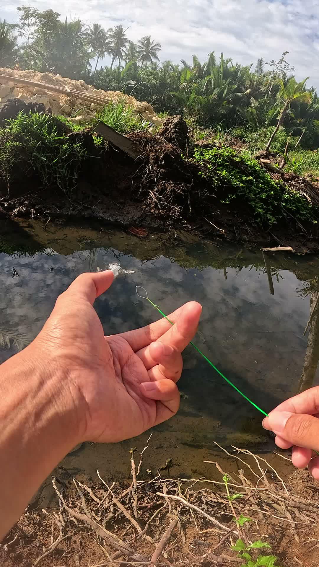 shrimp catching skills #fishing #traditional #usa #usareels #UnitedStates #unitedkingdom #denmark #canada