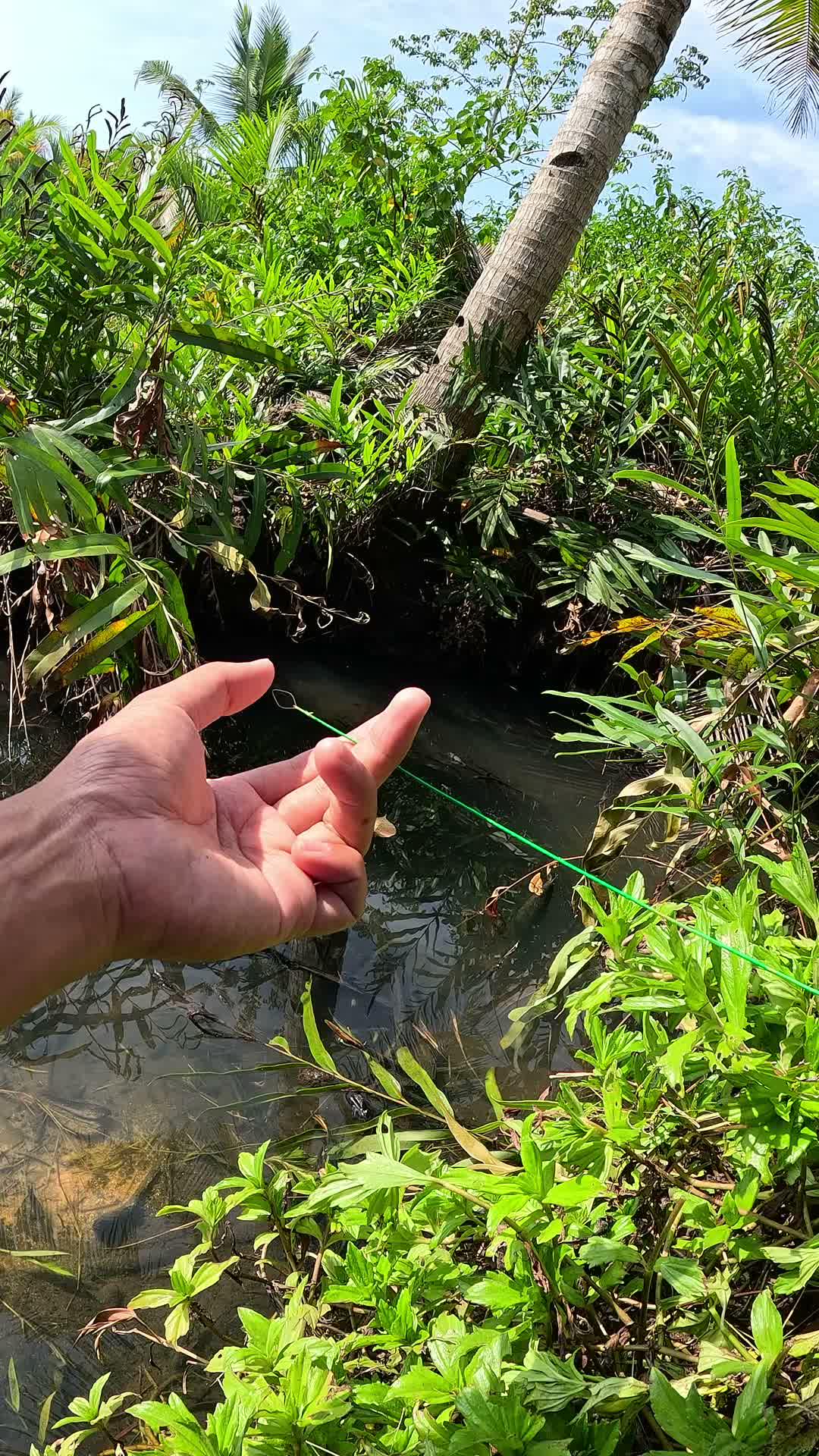 Traditional ways are still the best #fishing #traditional #usa #usareels #UnitedStates #unitedkingdom #denmark #canada