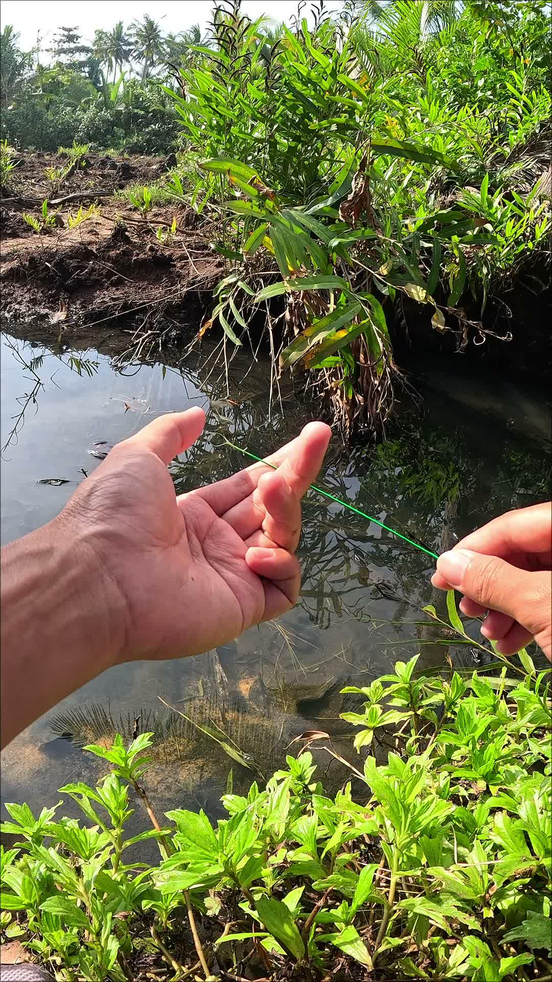 lesser known traditional techniques #fishing #traditional #usa #usareels #UnitedStates #unitedkingdom #denmark #canada