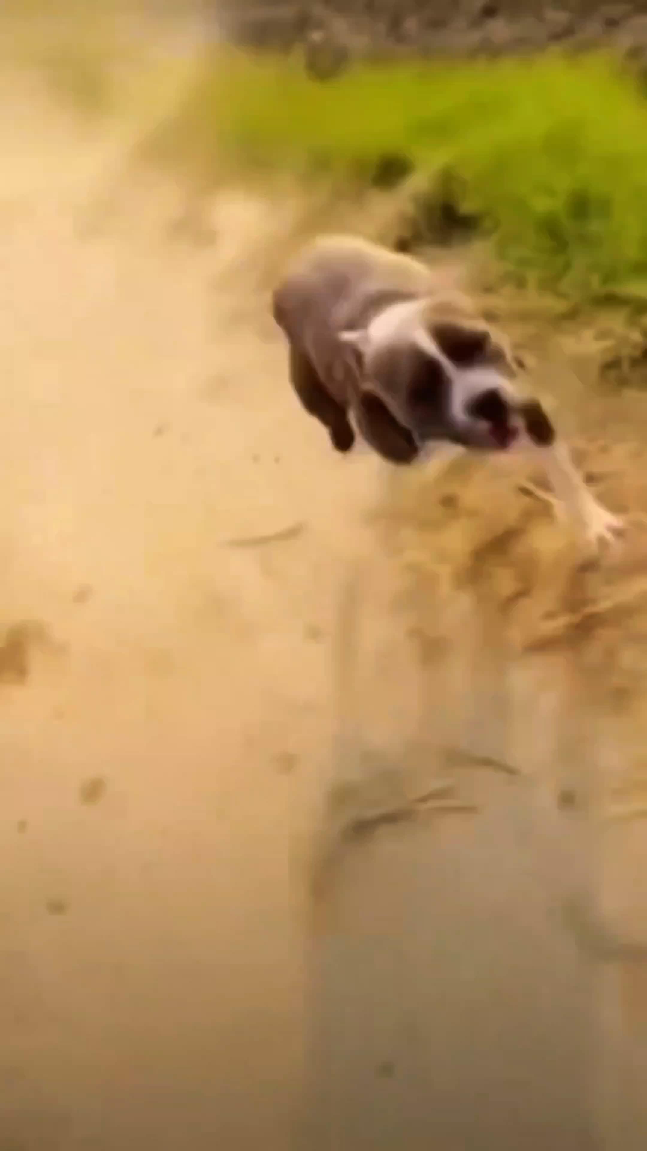 you kidding me #RCTIPlus 