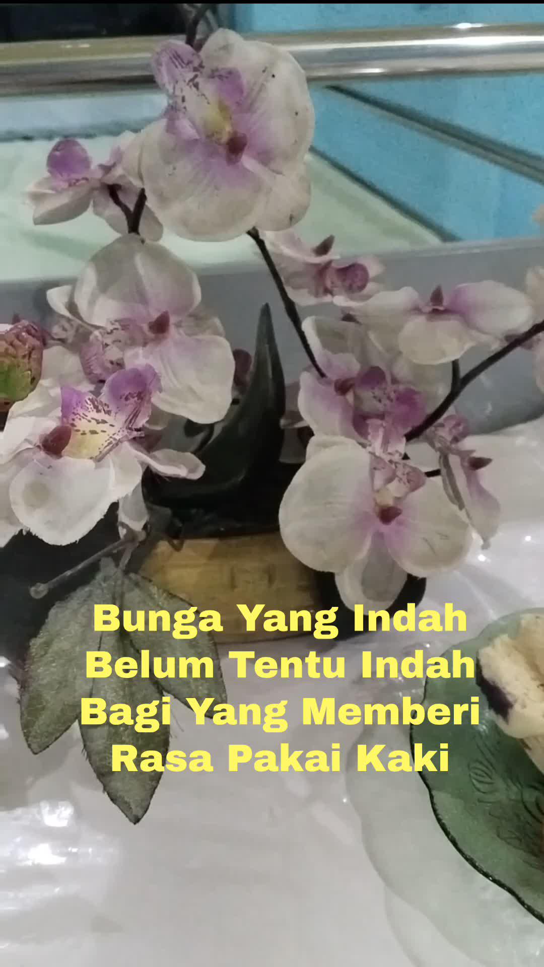 Bunga Indah Belum tentu Indah bagi yang memberi rasa pakai kaki
 #motivasisaymengikutiaudisiiniinginmembanggakankeduaorangtua 
