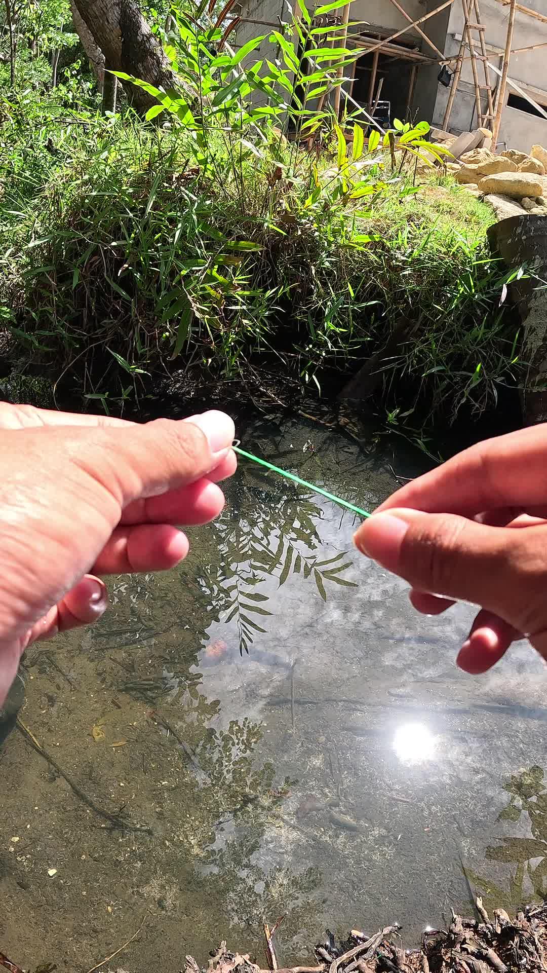 little known technique #fishing #shrimp #fish #sea #traditional #usareels #UnitedStates #reelsviral #skils #fyp #trending