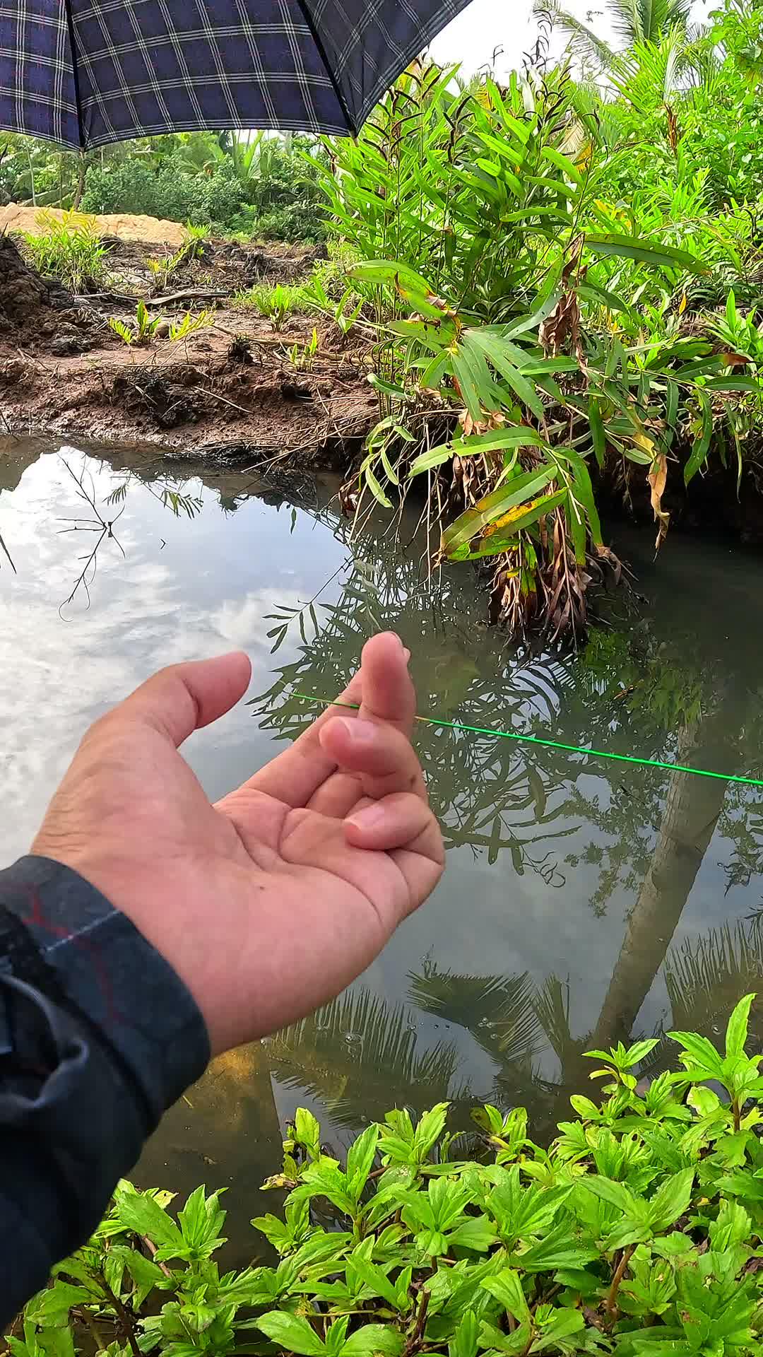 easy tricks to catch shrimp #fishing #traditional #usa #usareels #UnitedStates #unitedkingdom #denmark #canada