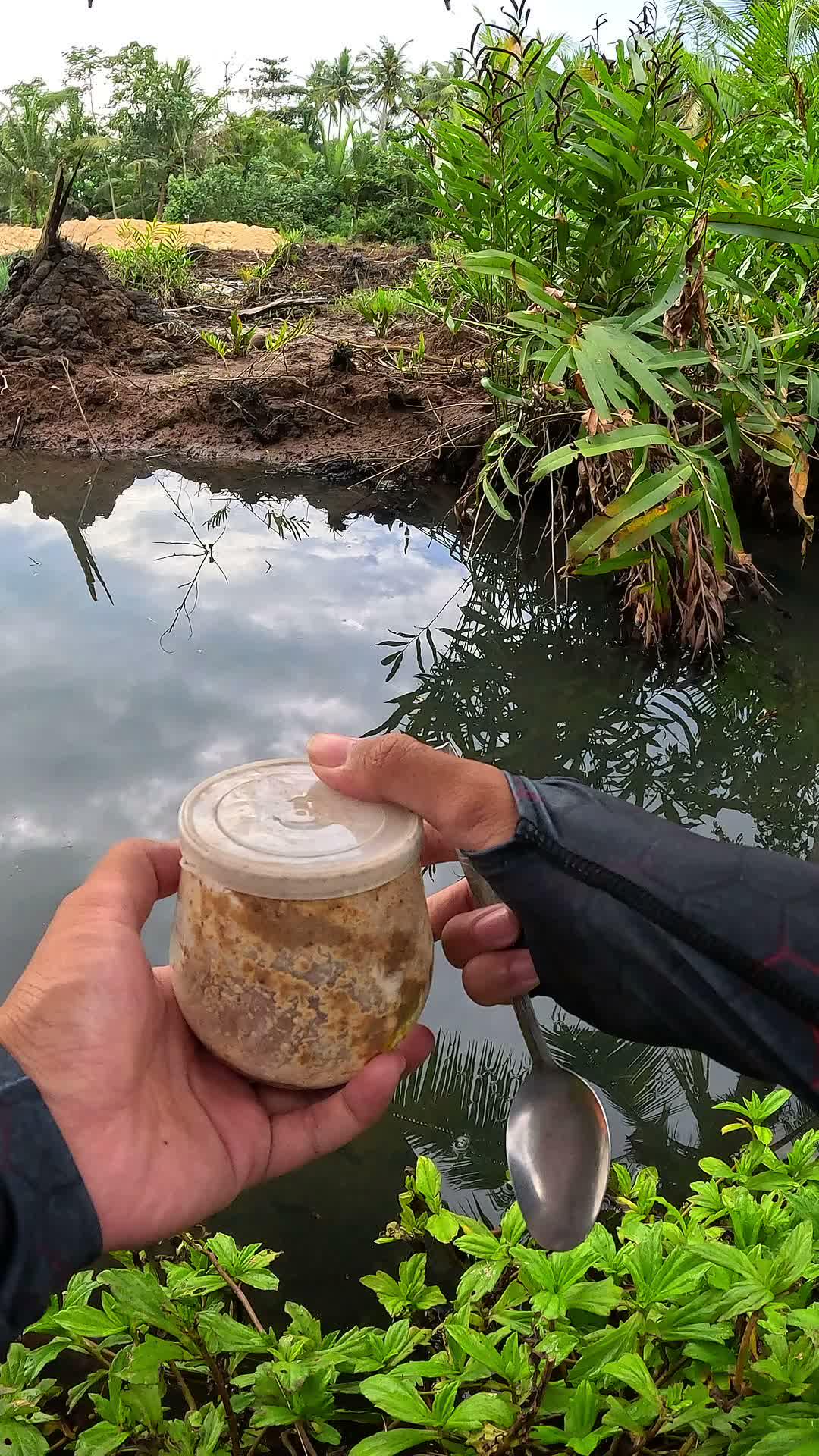 Catching shrimp is easy #fishing #traditional #usa #usareels #UnitedStates #unitedkingdom #denmark #canada