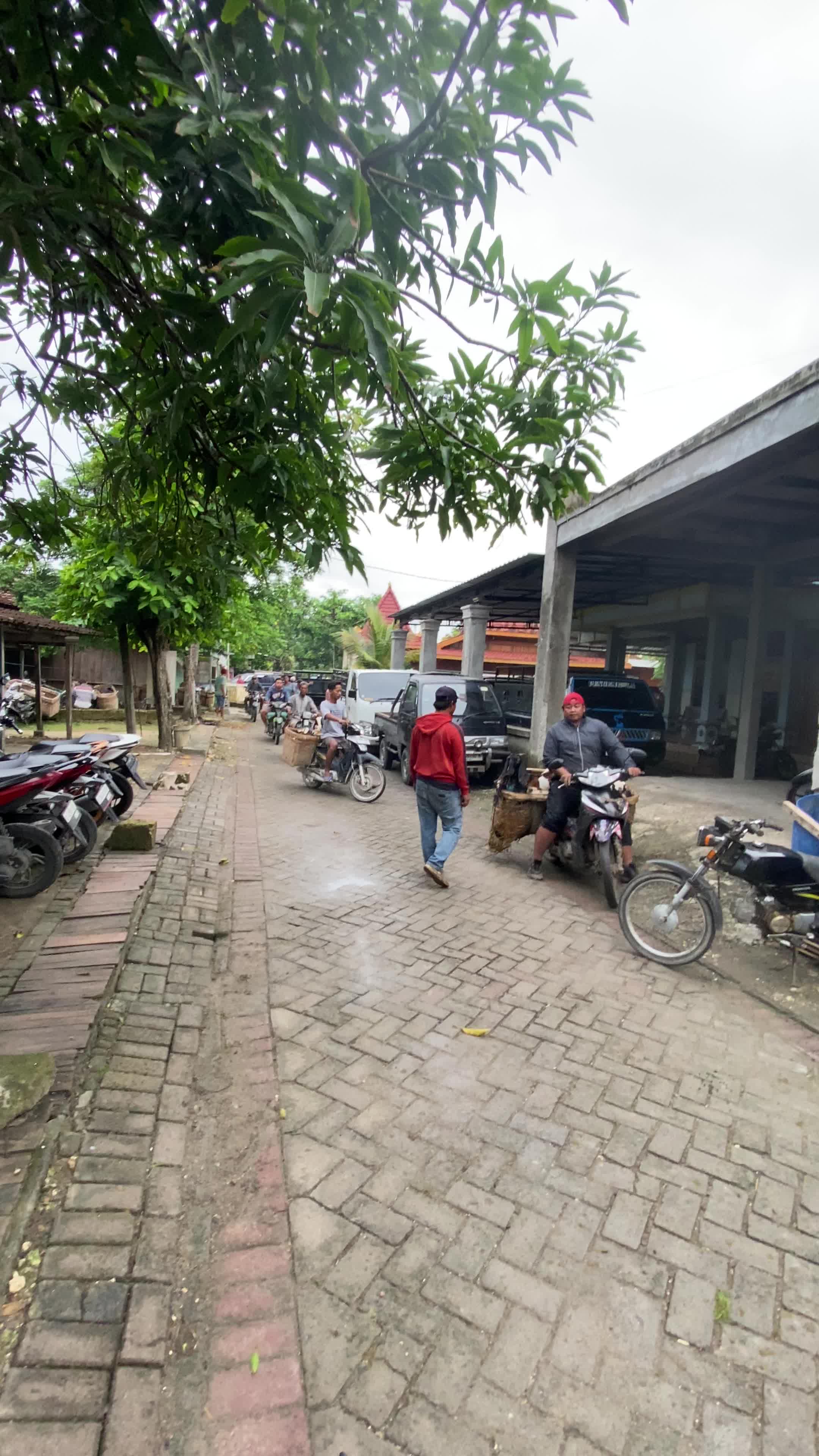 Para Pedagang Kambing di pasar hewan Taji #pasar #hewan #taji #tambakrejo #bojonegoro 