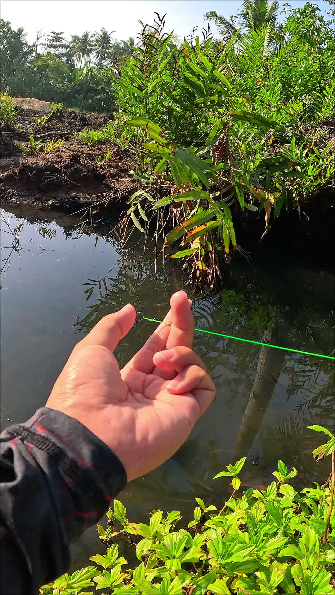 very unique way of catching #fishing #traditional #usa #usareels #UnitedStates #unitedkingdom #denmark #canada