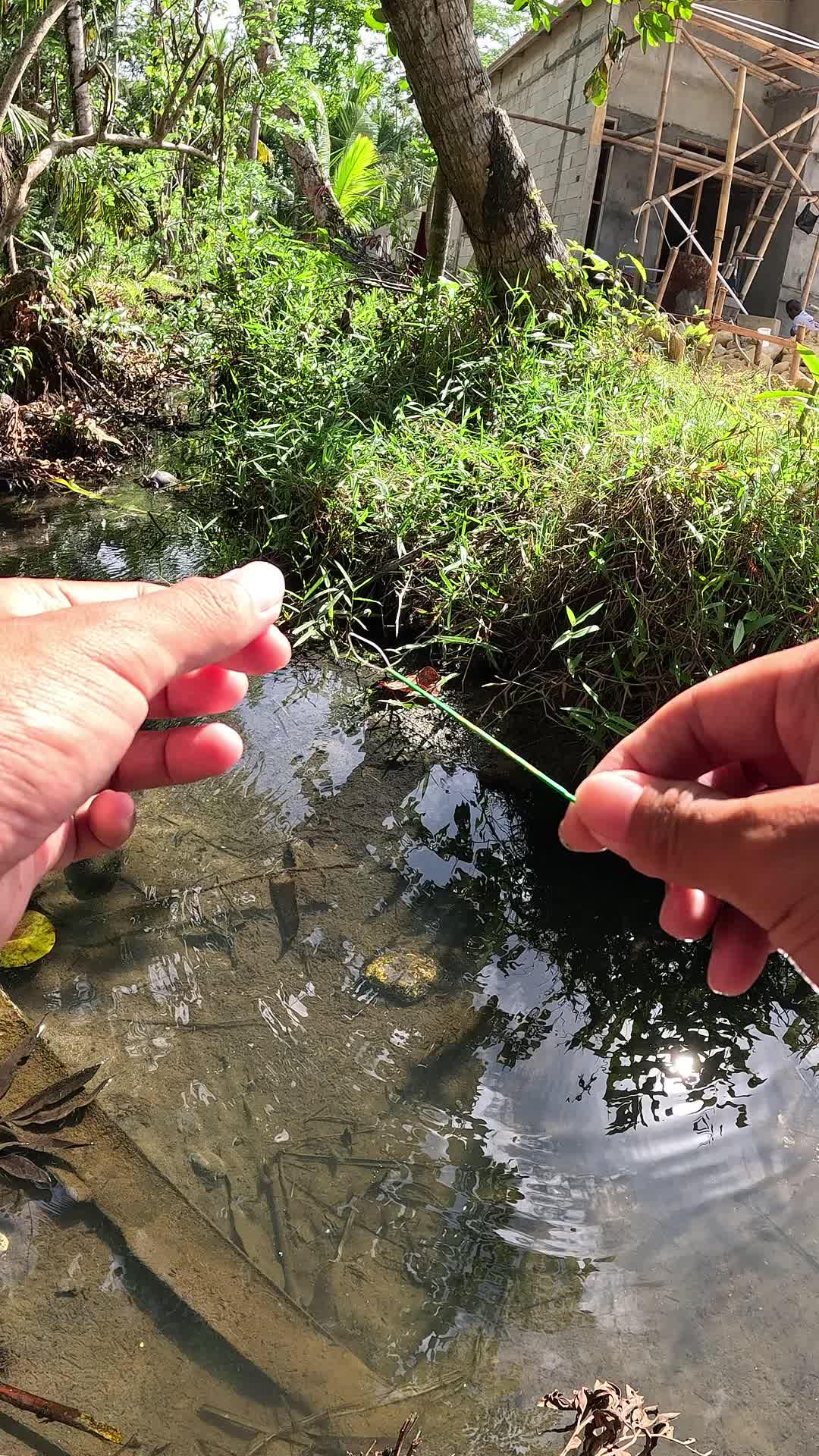skill gacor mancing udang #mancing #fishing #shrimp #udang #nelayan #laut #jaring #ikan #reelsviral #animals #skill #fyp #trending