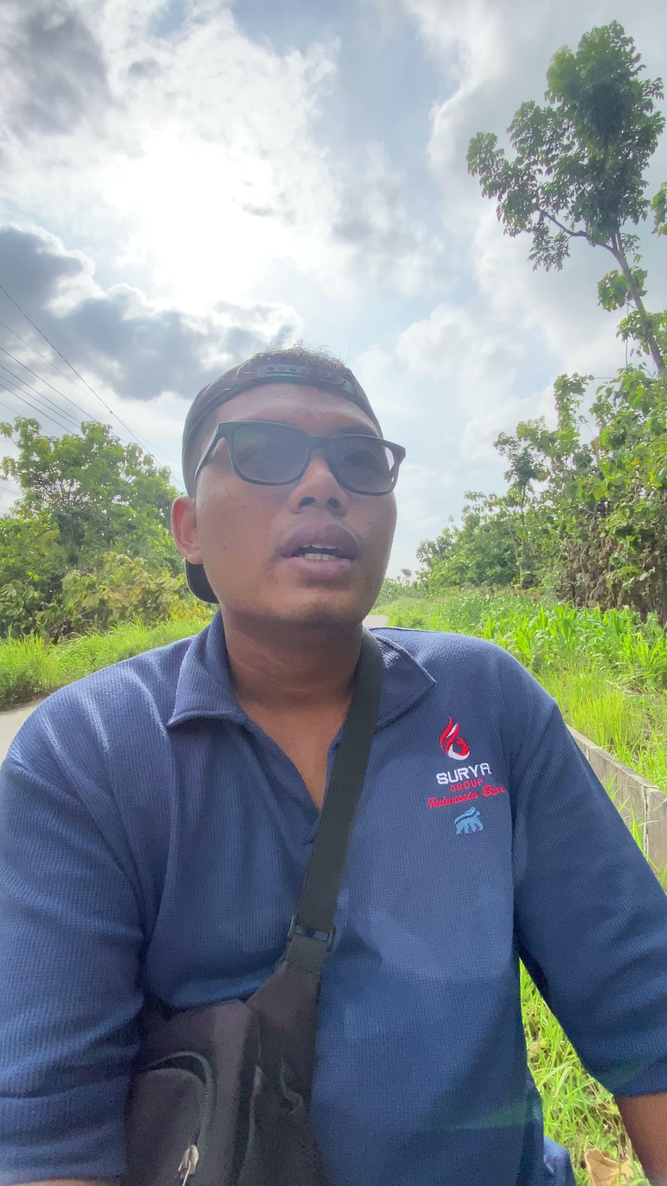 Akibat angin puting beliung yg melanda kawasan Tambakrejo #pohontumbang #anginkencang #tambakrejo 