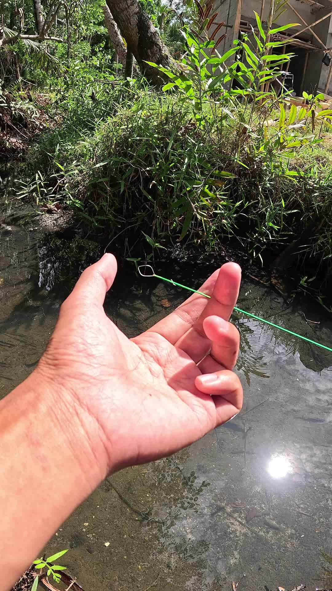 Wow catching shrimp is so easy #fishing #shrimp #traditional #usa #usareels #UnitedStates #unitedkingdom #denmark #canada