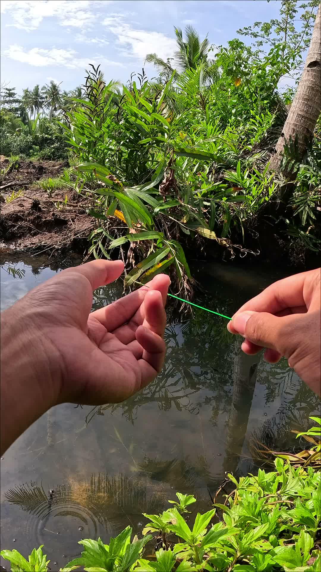 tutorial menangkap udang  #RCTIPlus  #trending 