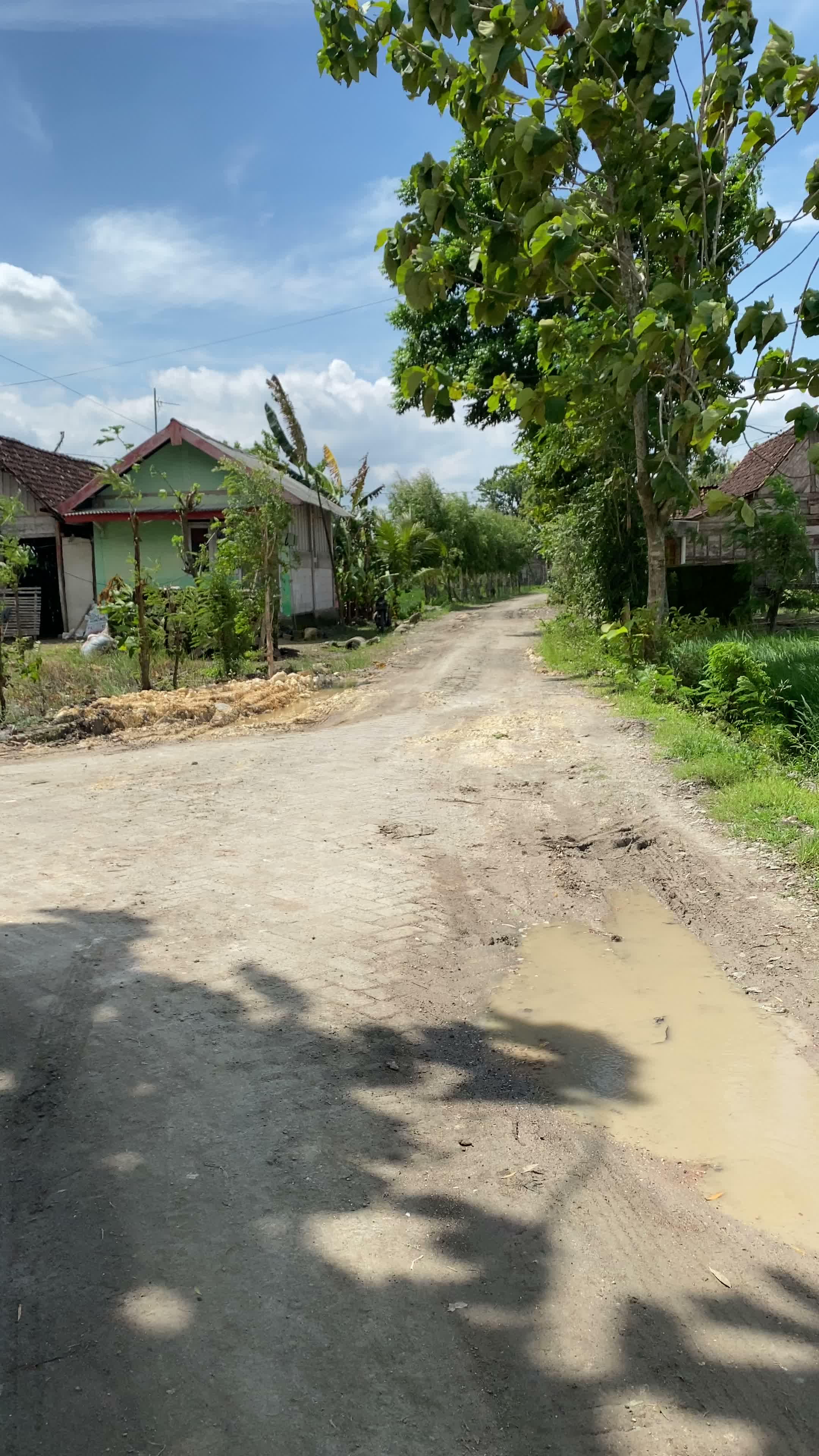 Update jalan menuju Waduk Rowo Glandang #jalan #desaku #tambakrejo  #bojonegoro #pedesaan #viral 