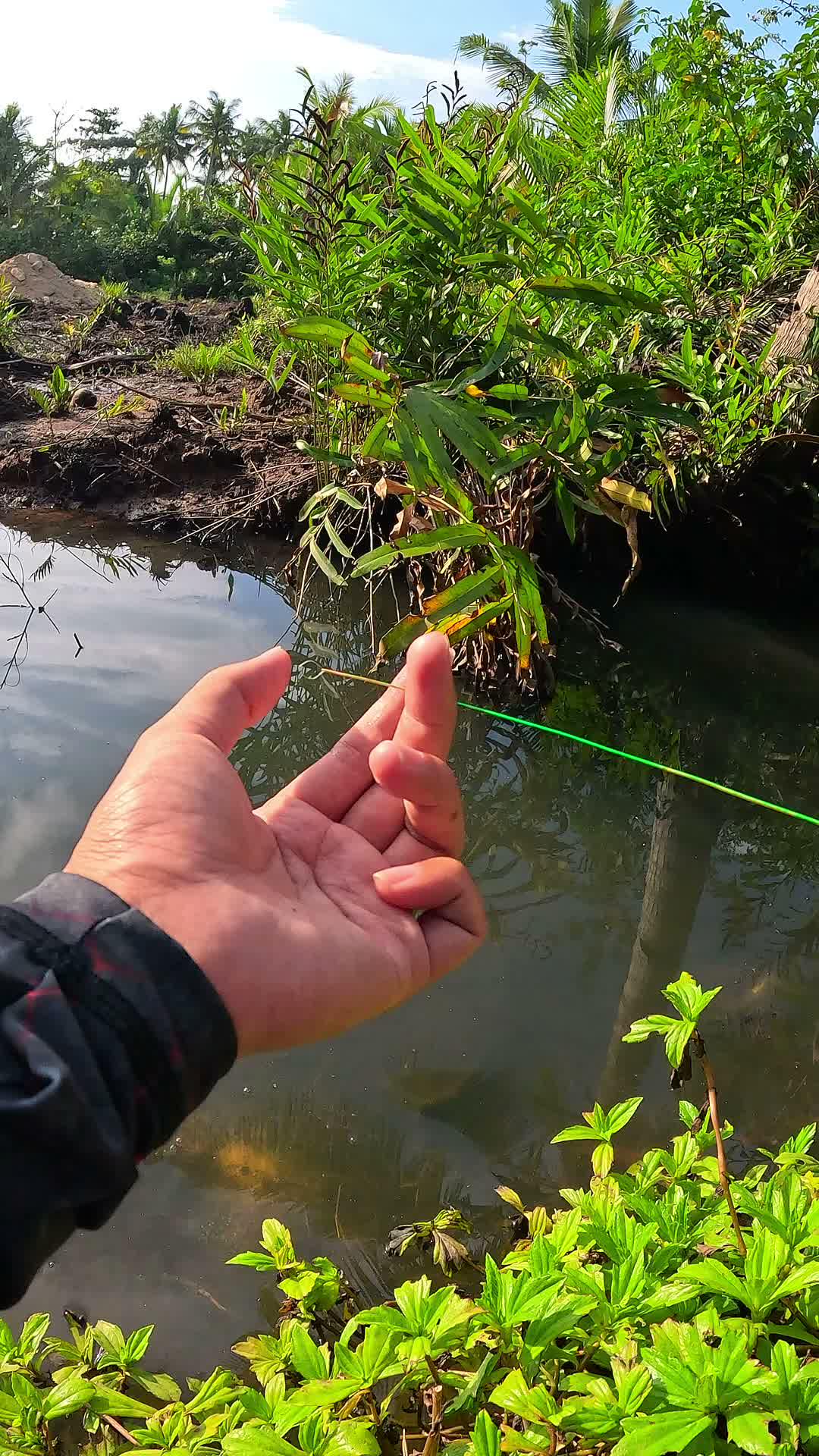 wow catching shrimp is so easy #fishing #traditional #usa #usareels #UnitedStates #unitedkingdom #denmark #canada