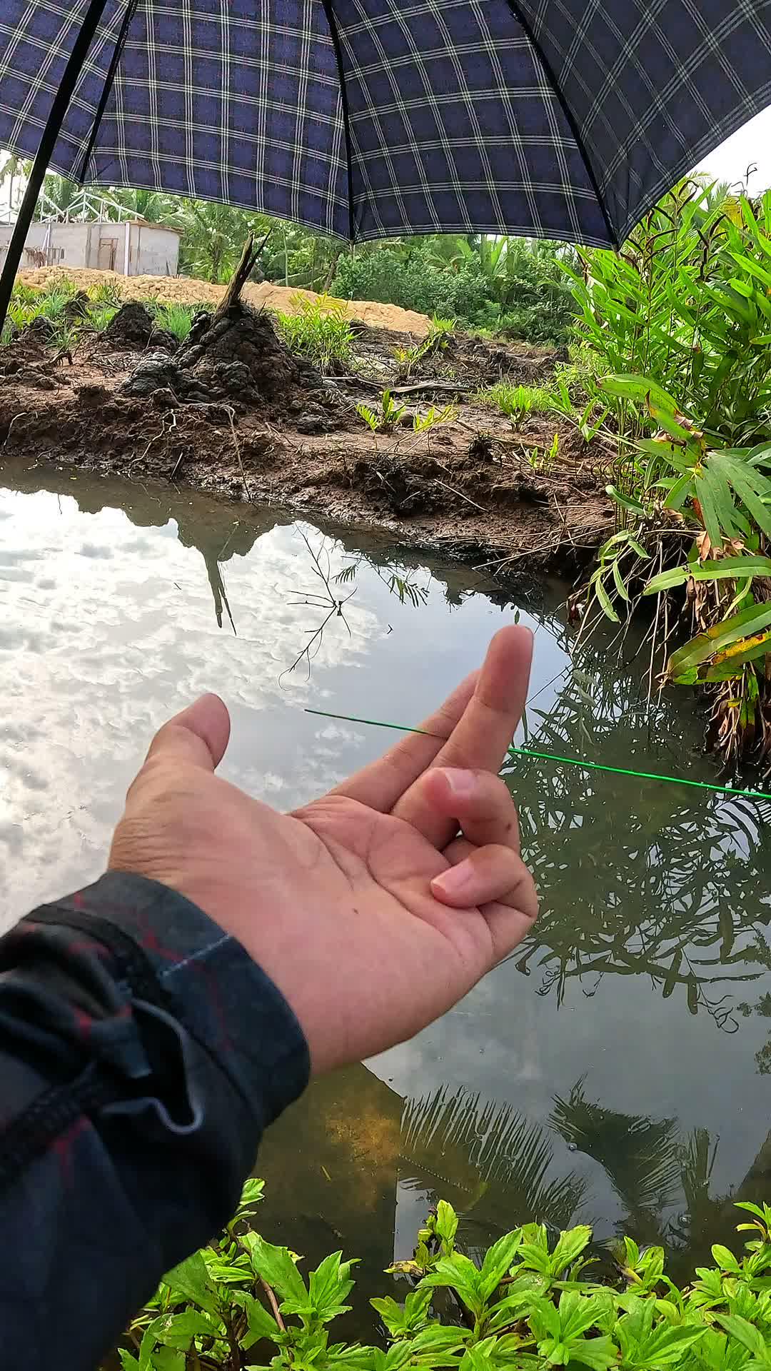 lumayan buat umpan mancing #udang #nelayan #laut #jaring #ikan #fbpro #reels #reelsviral #duniaikan #skills #fyp #trending