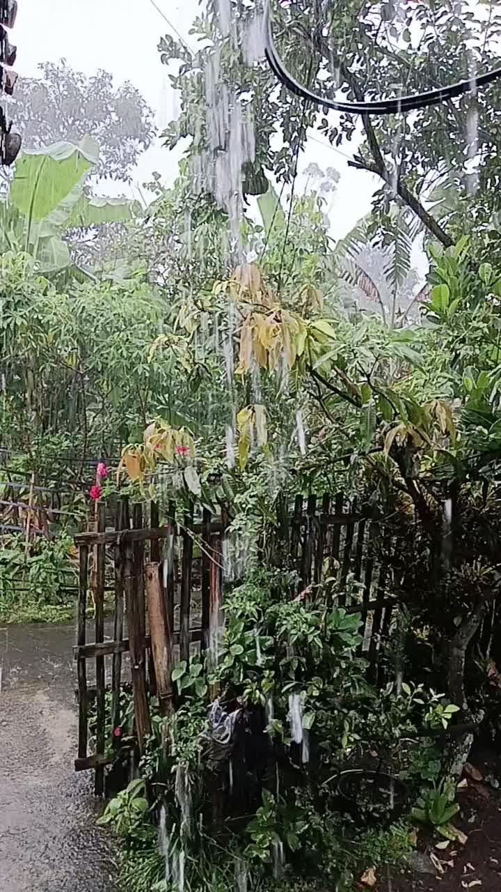 hujan nya deras banget di tambah angin  #short  #HOTrctiplus  #RCTIPlus 