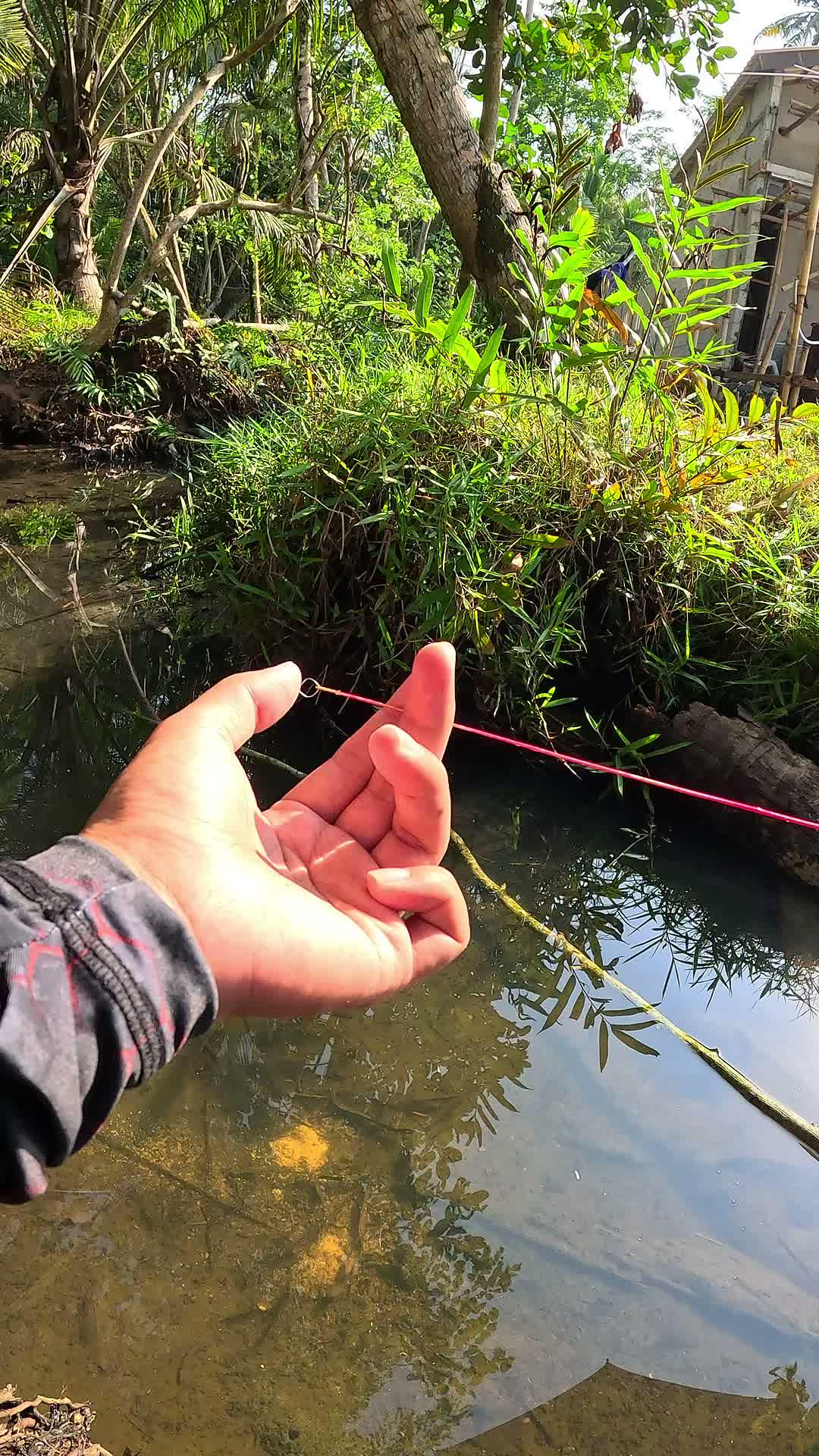 how to catch shrimp super fast and easy #fishing #traditional #usa #usareels #UnitedStates #unitedkingdom #denmark #canada