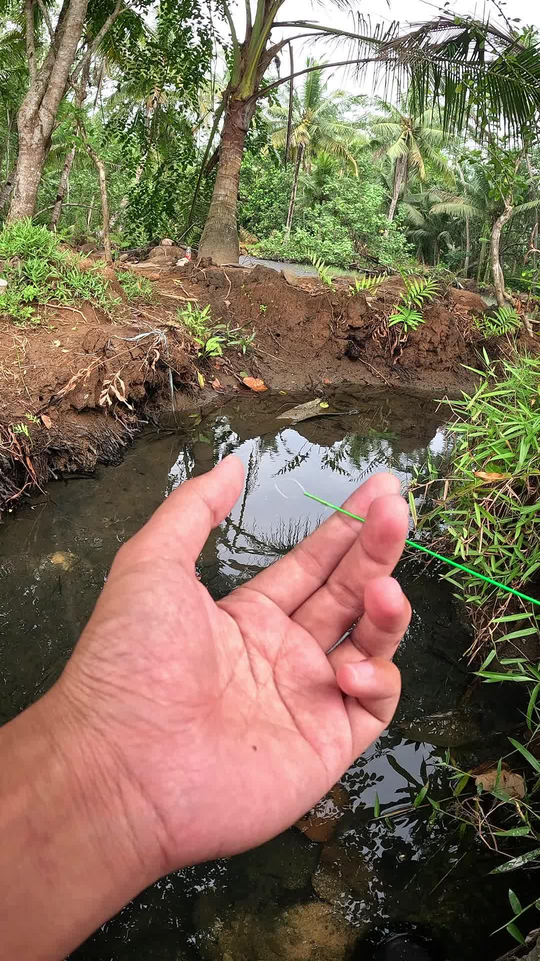 ada banyak udang kecil disini #fishing #shrimp #fish #sea #traditional #usareels #UnitedStates #reelsviral #skils #fyp #trending