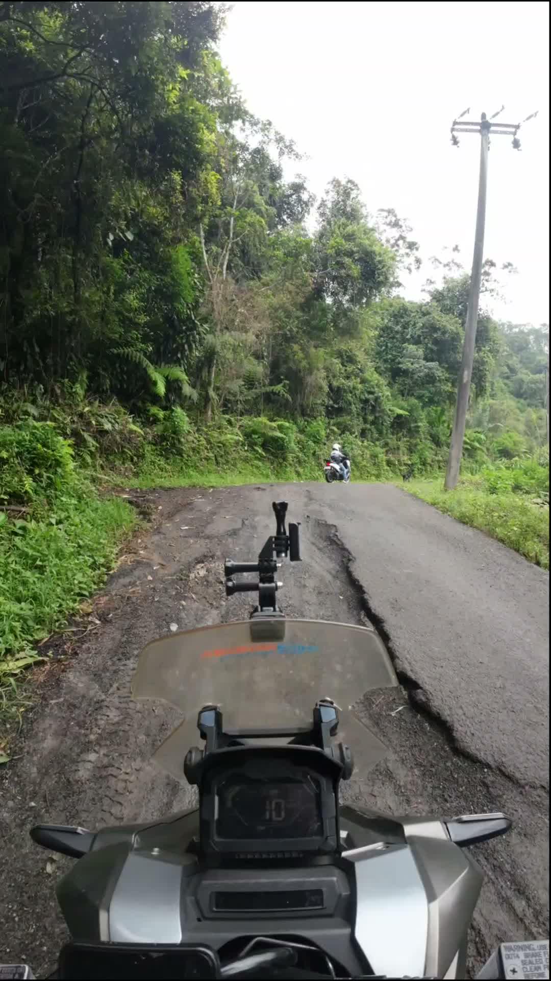 jalan jalan ke hutan dulu gaes  #RCTIPlus  #HOTrctiplus 