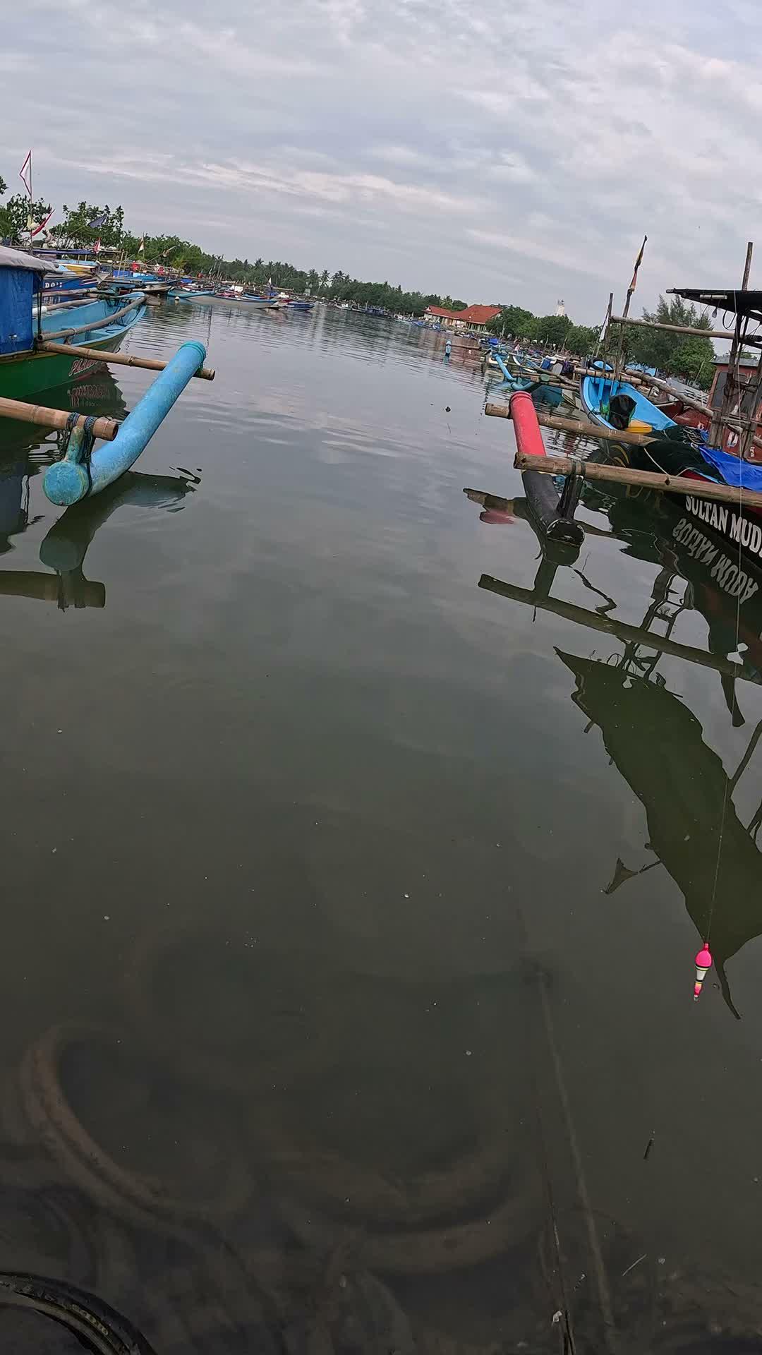 baru dilempar langsung dimakan ikan 🎣🐟