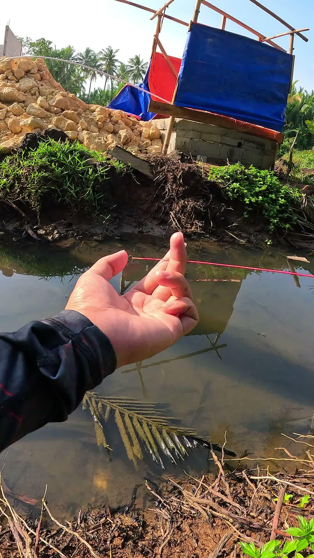 just got it and it's gone #fishing #shrimp #fish #sea #traditional #usareels #UnitedStates #reelsviral #skils #fyp #trending