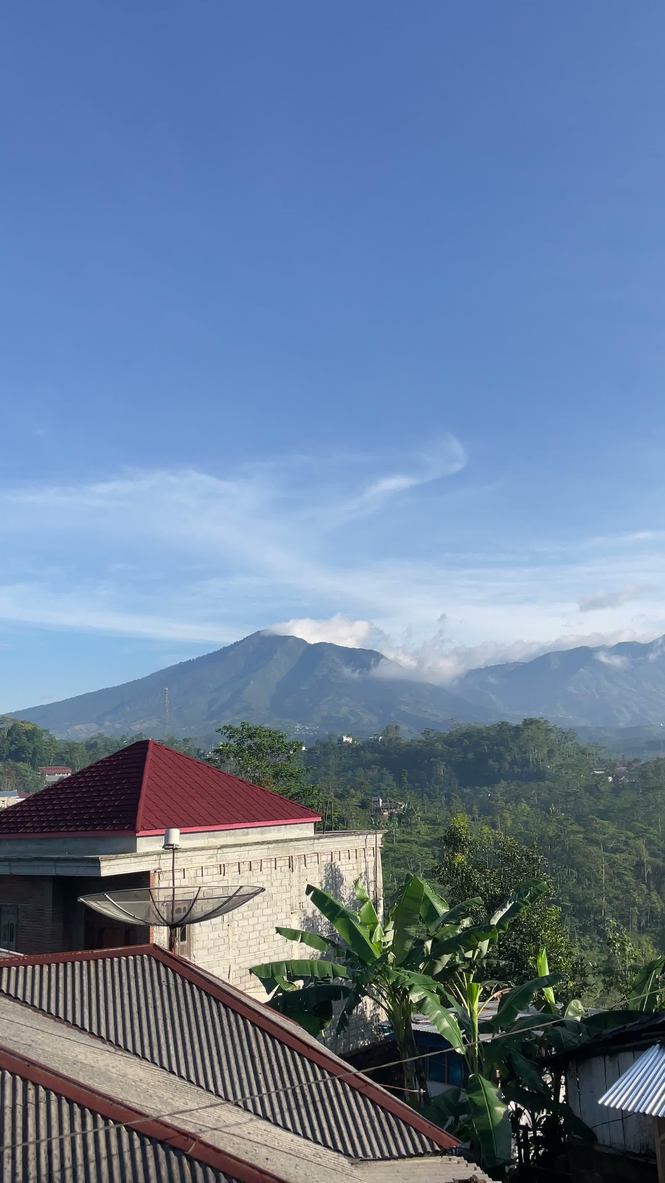 Hewan tersesan ada yang mau adopsi