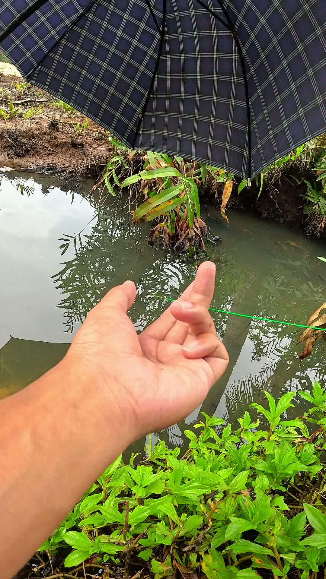 buat umpan mancing #fishing #traditional #usa #usareels #UnitedStates #unitedkingdom #denmark #canada