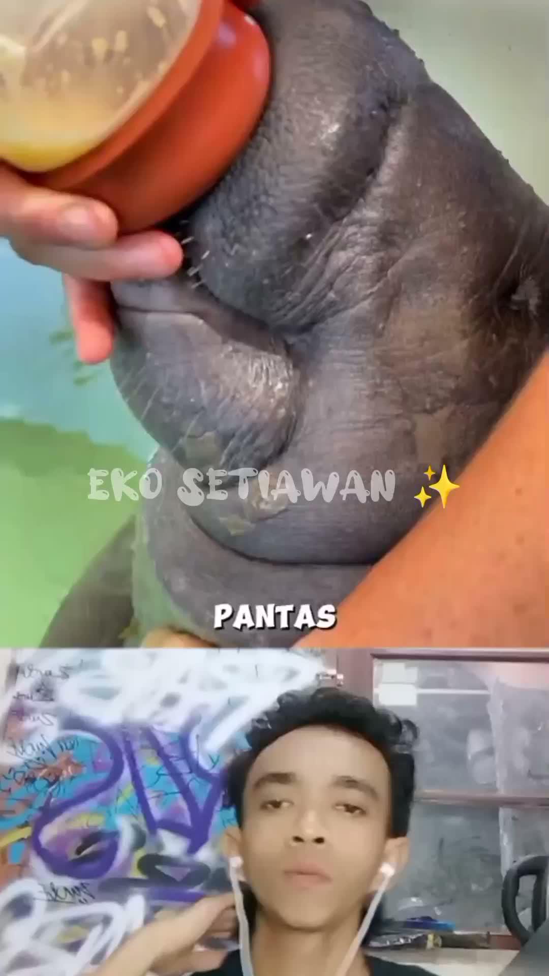 hewan satu ini suka ngedot😁 hewan apakah itu😁🥰
