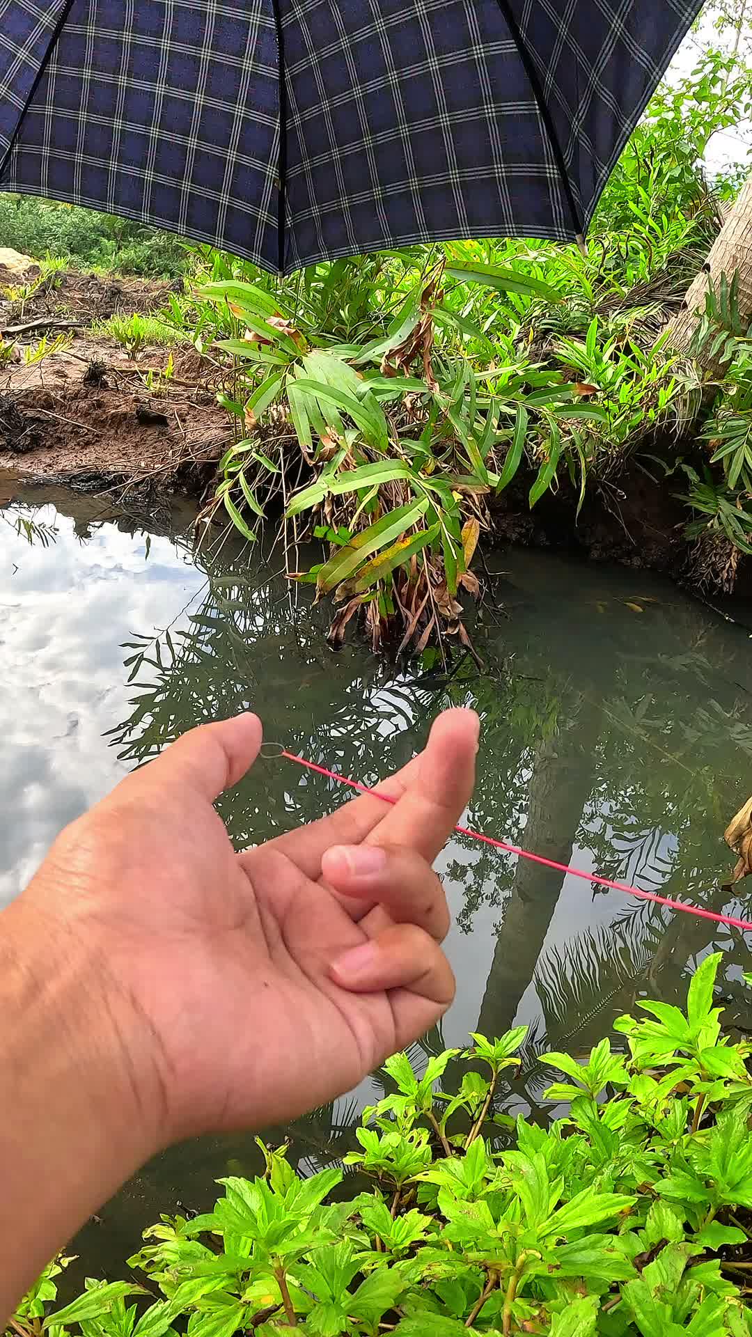 not everyone knows this way #fishing #traditional #usa #usareels #UnitedStates #unitedkingdom #denmark #canada