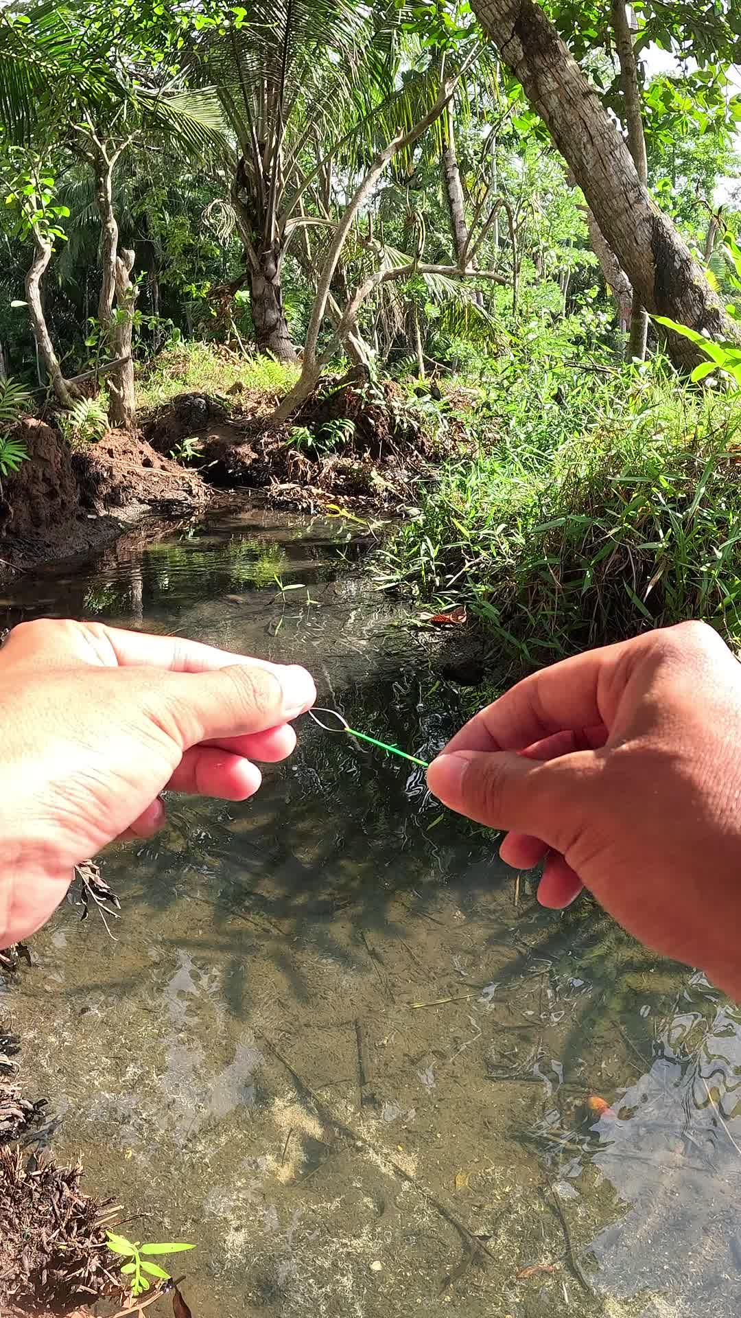 legendary technique for catching shrimp #fishing #shrimp #fish #sea #traditional #usareels #UnitedStates #reelsviral #skils #fyp #trending