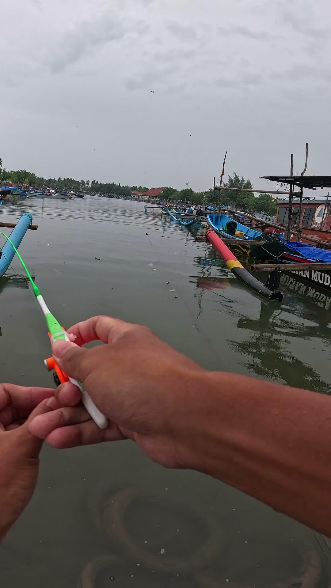 very flexible small fishing rod #fishing #micro #microfishing #usa #usareels #UnitedStates #unitedkingdom #denmark #canada