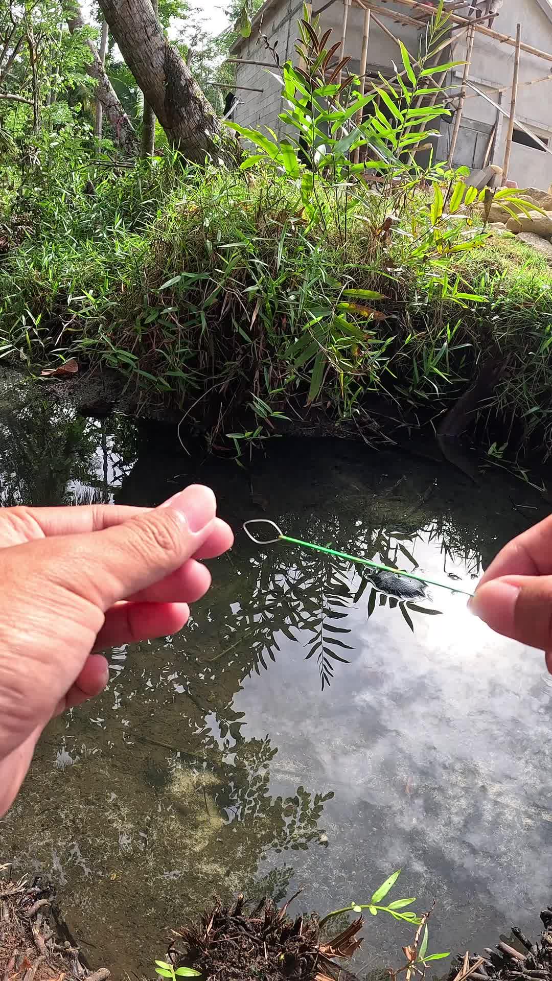 teknik menangkap udang #mancing #fishing #shrimp #udang #nelayan #laut #jaring #ikan #reelsviral #animals #skill #fyp #trending