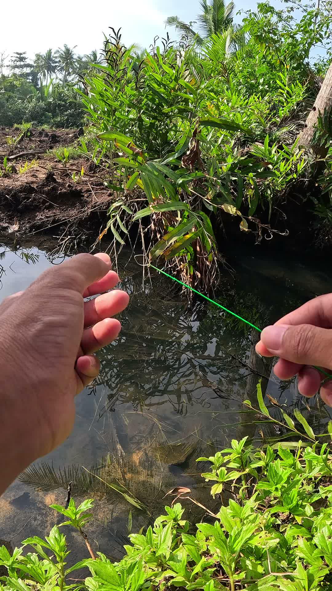 lepas bae heran #udang #nelayan #laut #jaring #ikan #fbpro #reels #reelsviral #duniaikan #skills #fyp #trending