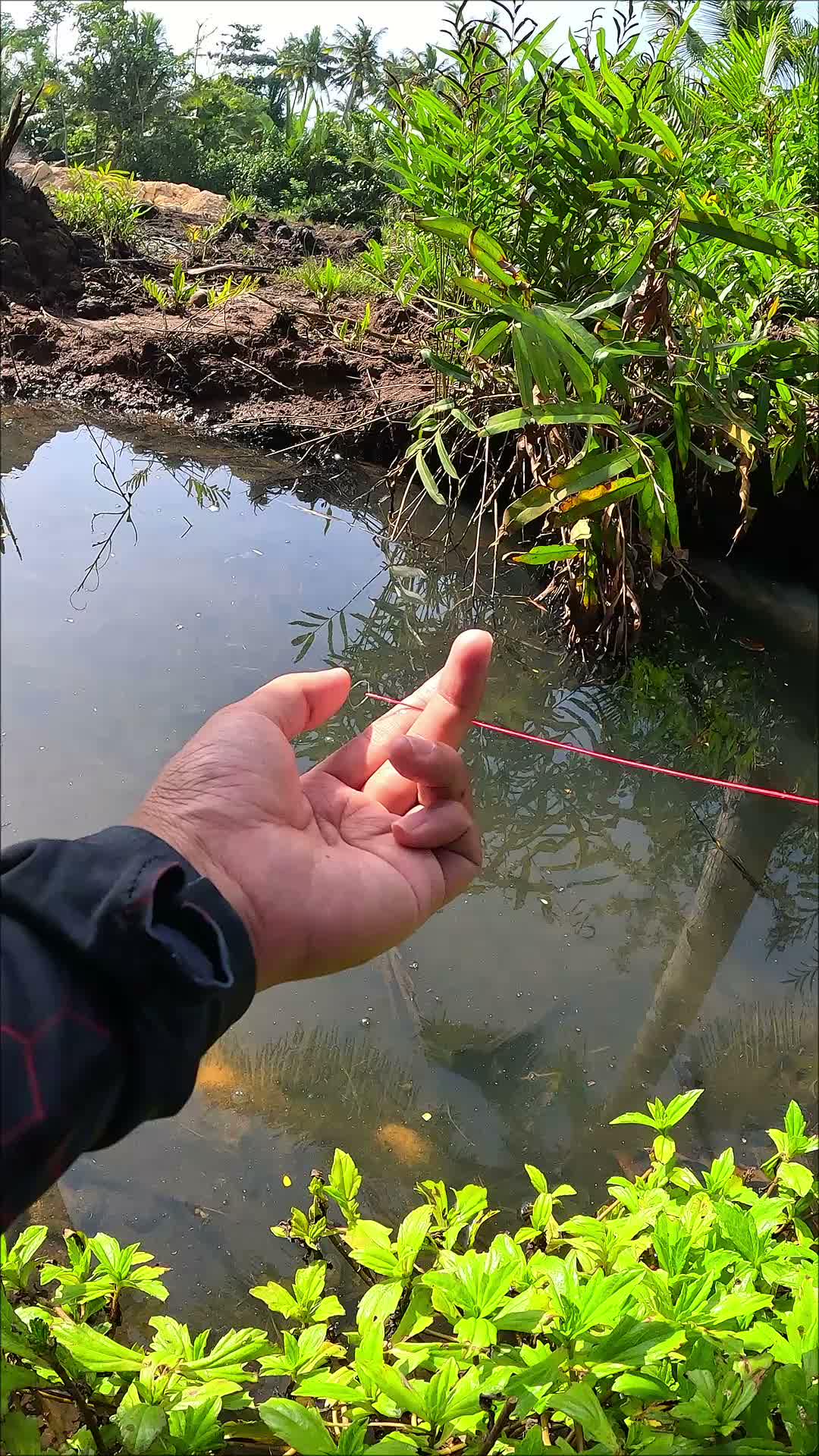 techniques used in the past #fishing #traditional #usa #usareels #UnitedStates #unitedkingdom #denmark #canada