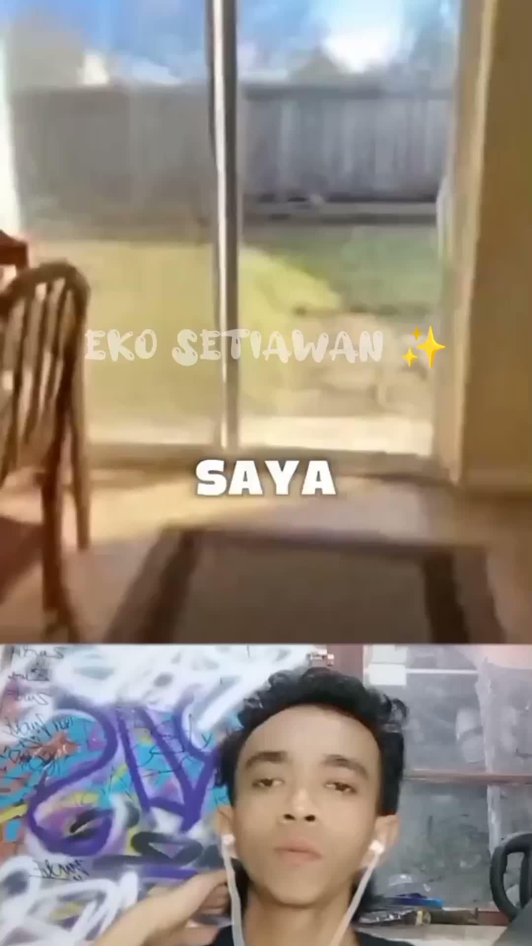 kucing pria ini tiba tiba teringat 😱😱😱😱