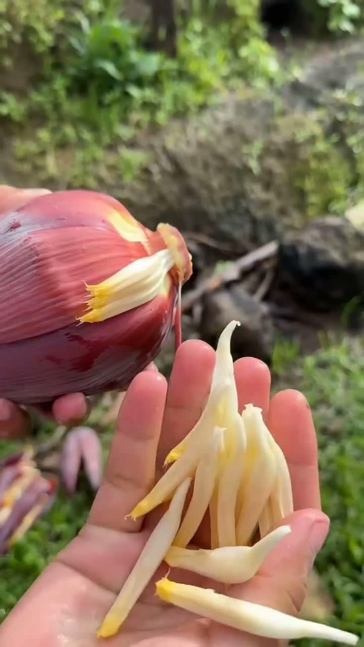 Siapa Sangka Bunga Pisang Seenak Ini? 🤤