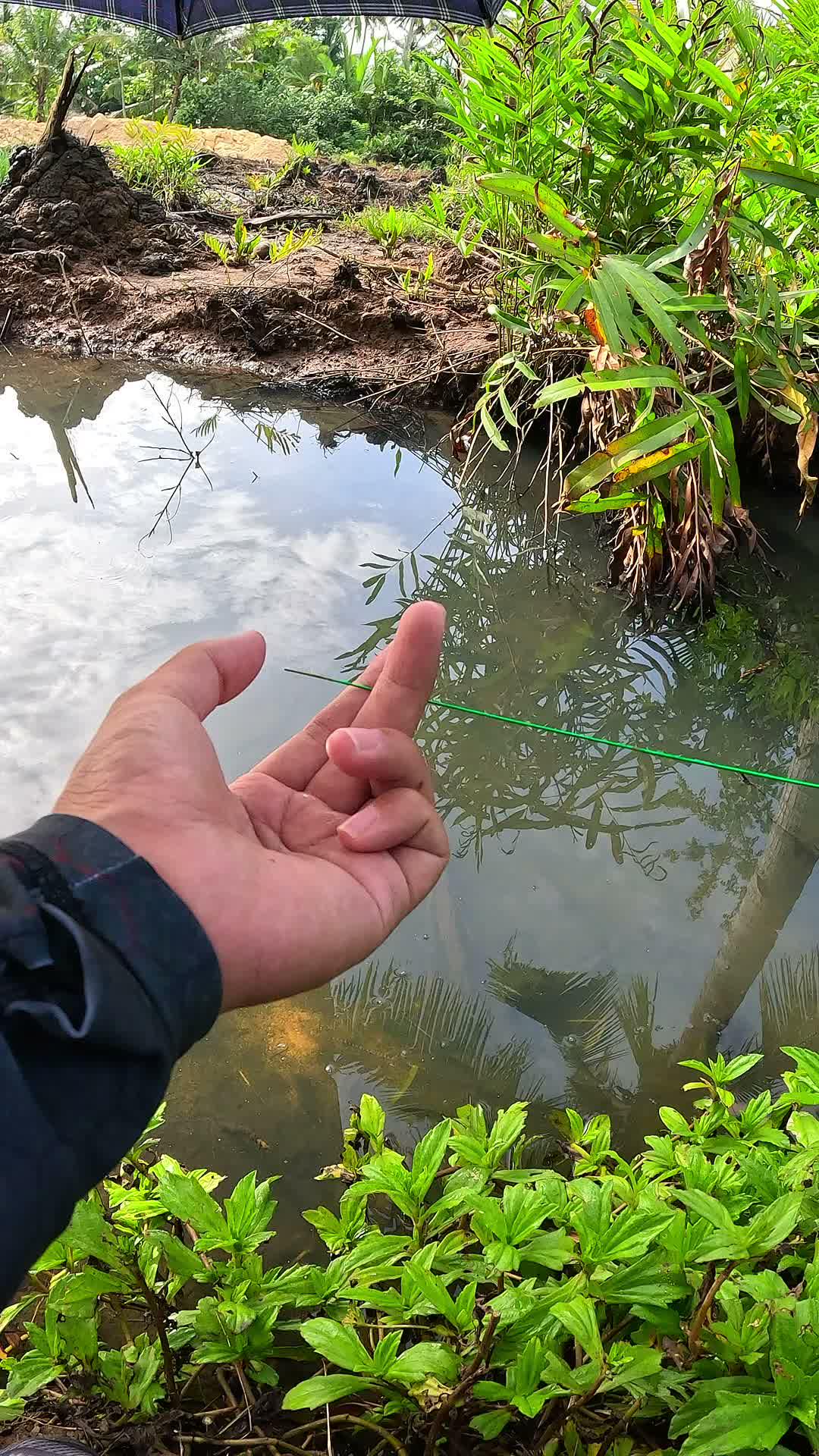 teknik tradisional #udang #nelayan #laut #jaring #ikan #fbpro #reels #reelsviral #duniaikan #skills #fyp #trending