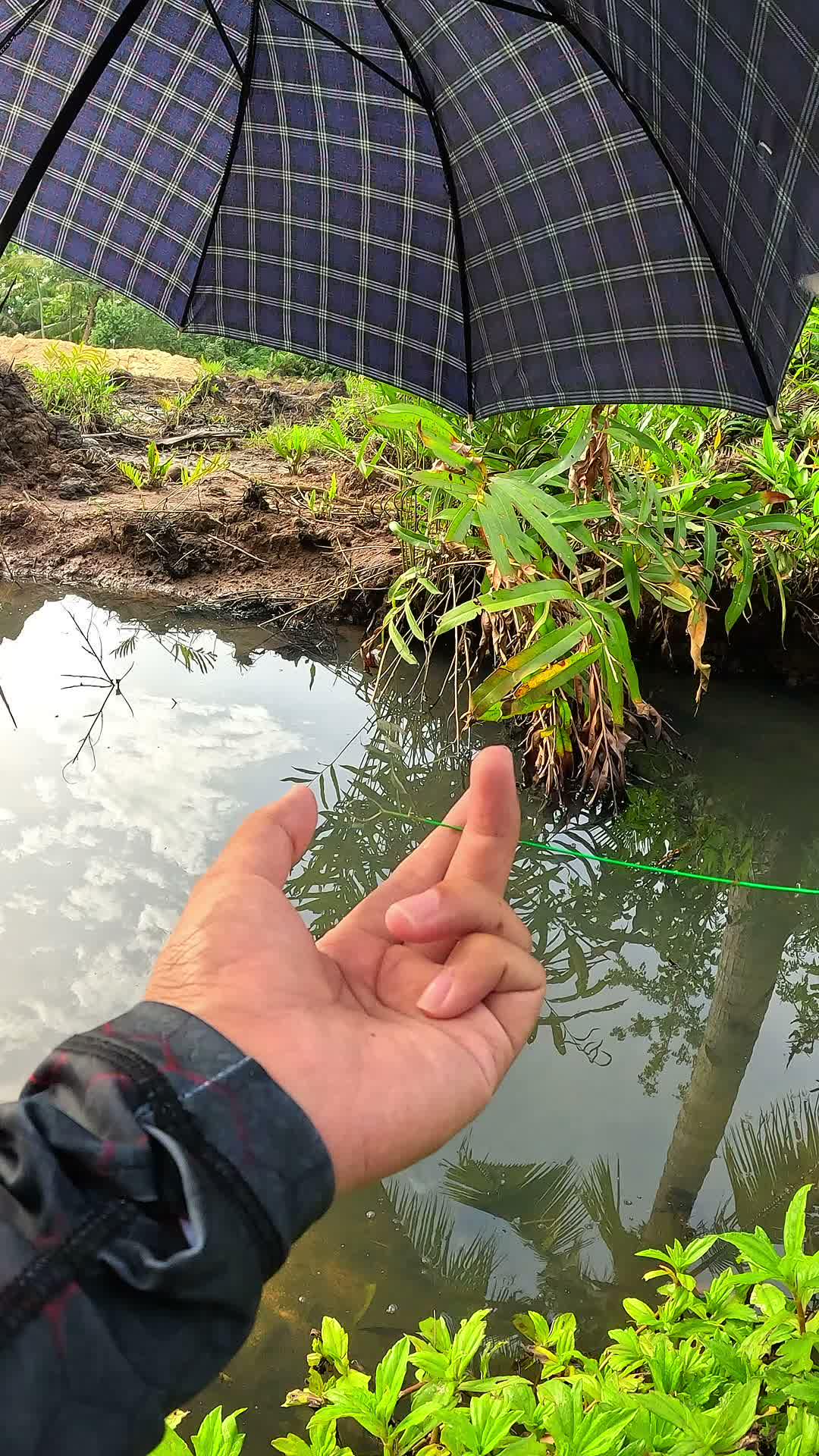 segampang itu #mancing #fishing #shrimp #udang #nelayan #laut #jaring #ikan #reelsviral #animals #skill #fyp #trending