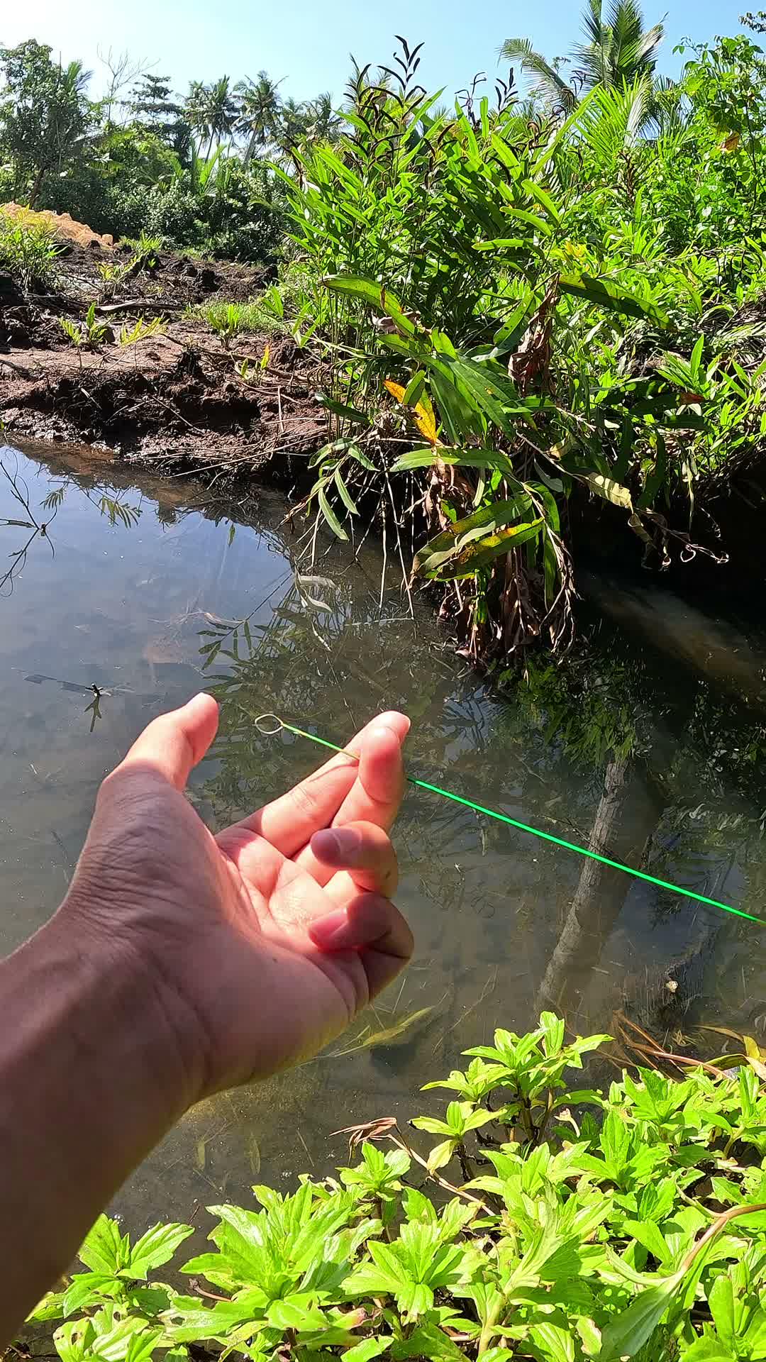 mancing udang #udang #nelayan #laut #jaring #ikan #fbpro #reels #reelsviral #duniaikan #skills #fyp #trending