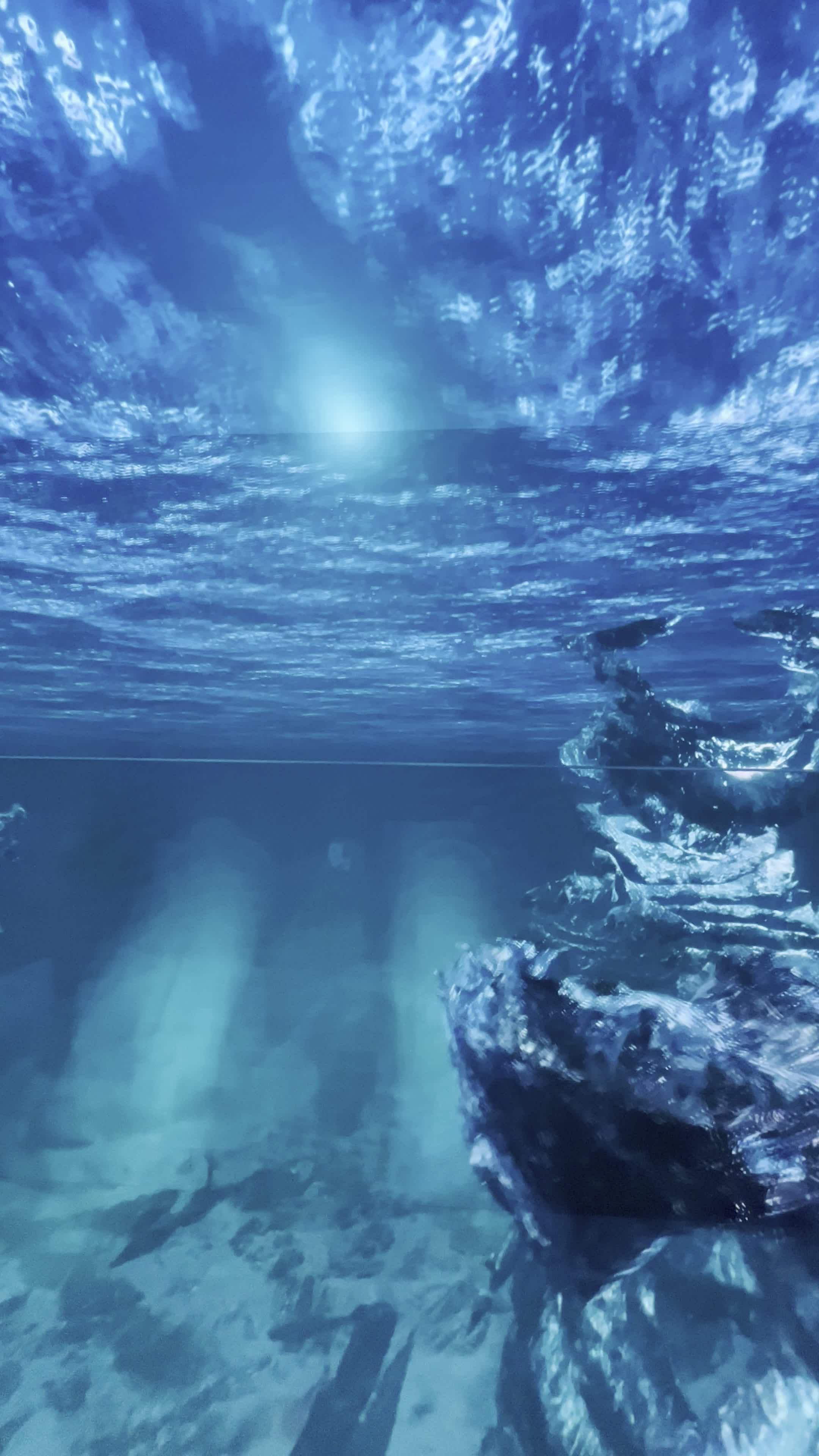 Keindahan wahana visual 3D di jatim park 2 #wisata #liburan #jatimpark2  #malang