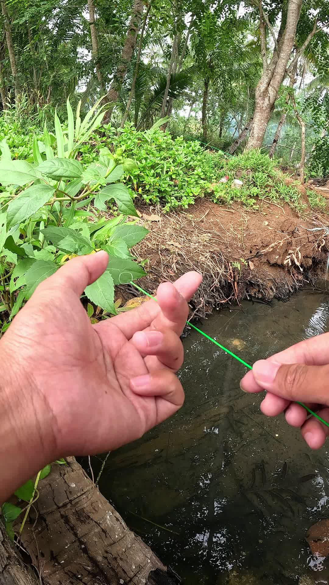 begini cara gampang nangkap udang #mancing #fishing #shrimp #udang #nelayan #laut #jaring #ikan #reelsviral #animals #skill #fyp #trending