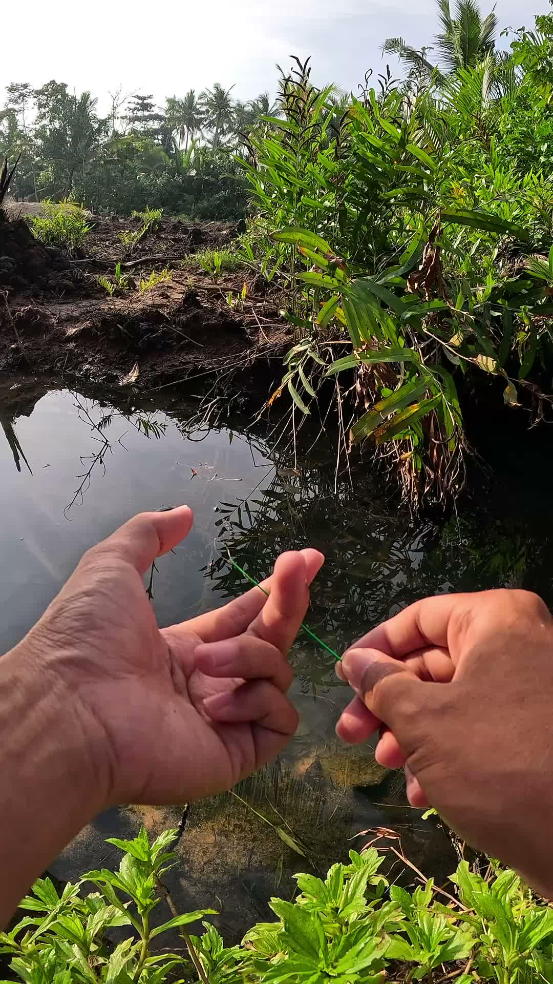 menangkap banyak udang #fishing #shrimp #traditional #usa #usareels #UnitedStates #unitedkingdom #denmark #canada