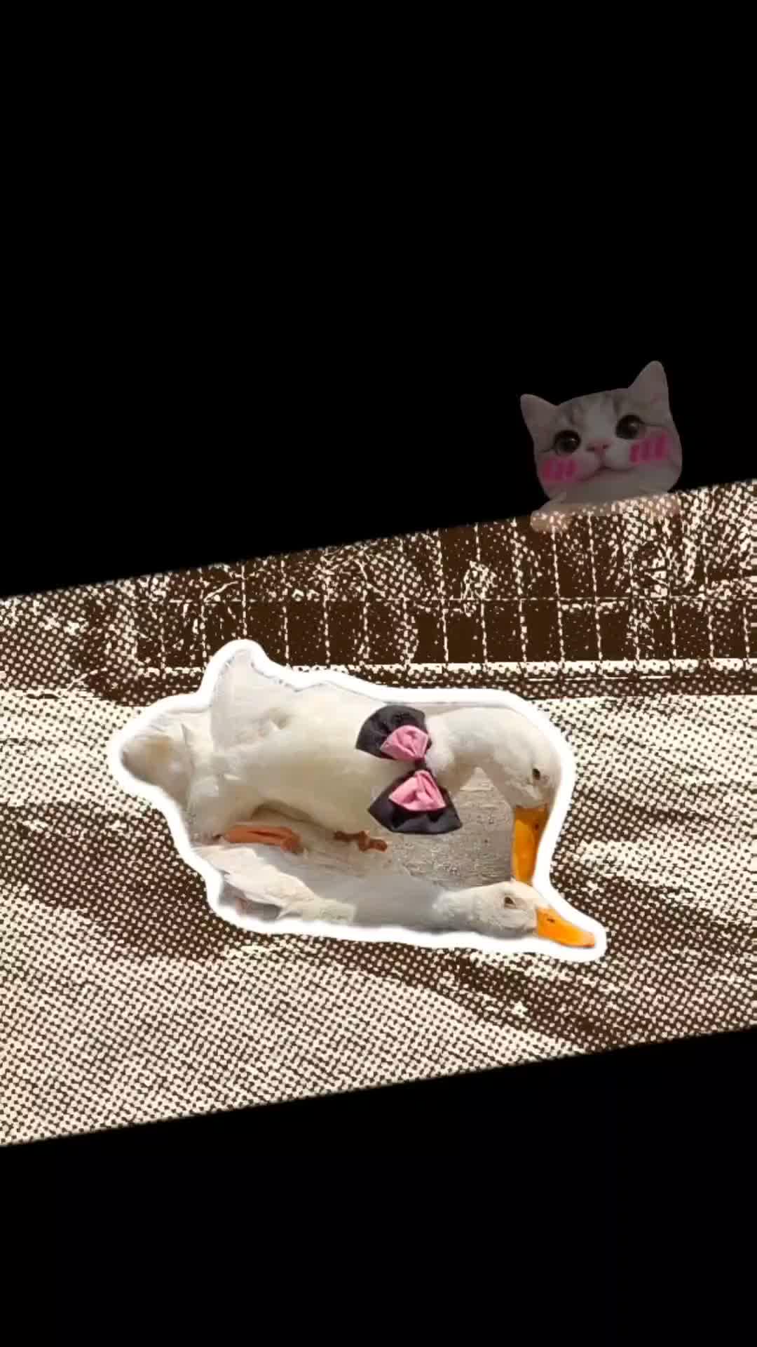 Akhirnya ngerasain ngawinin! Tapi calon anaknya banyak banget | #Bebek #VlogBebek #Minivlog #dailyvlog