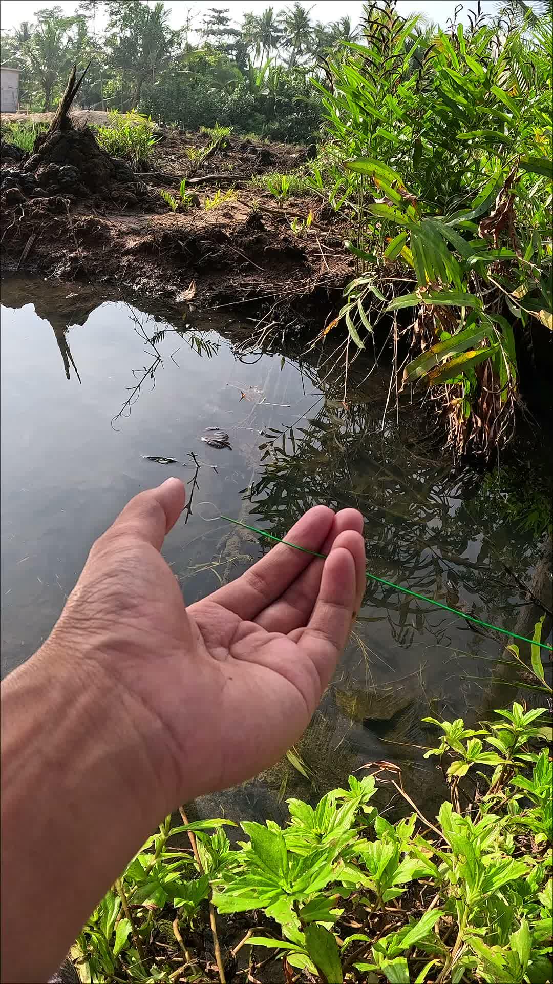 very unique and traditional way #fishing #traditional #usa #usareels #UnitedStates #unitedkingdom #denmark #canada